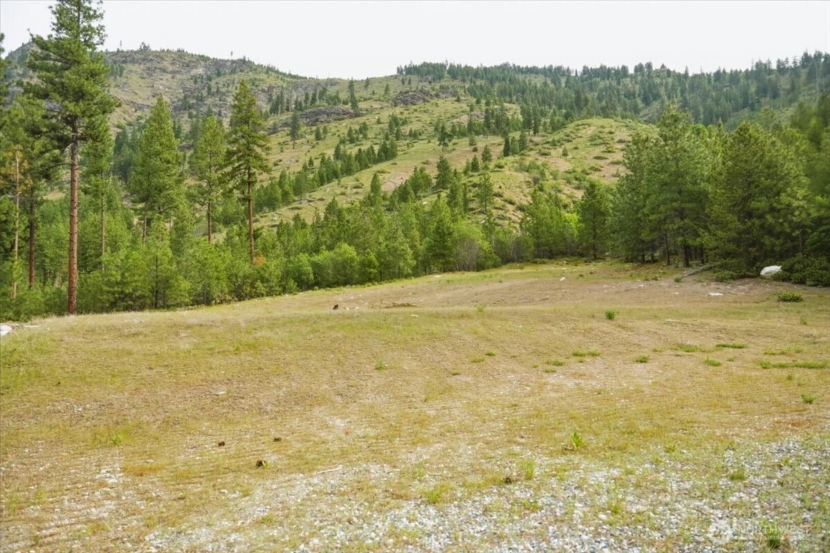 4 Lot Mossback Ln Entiat WA 98822