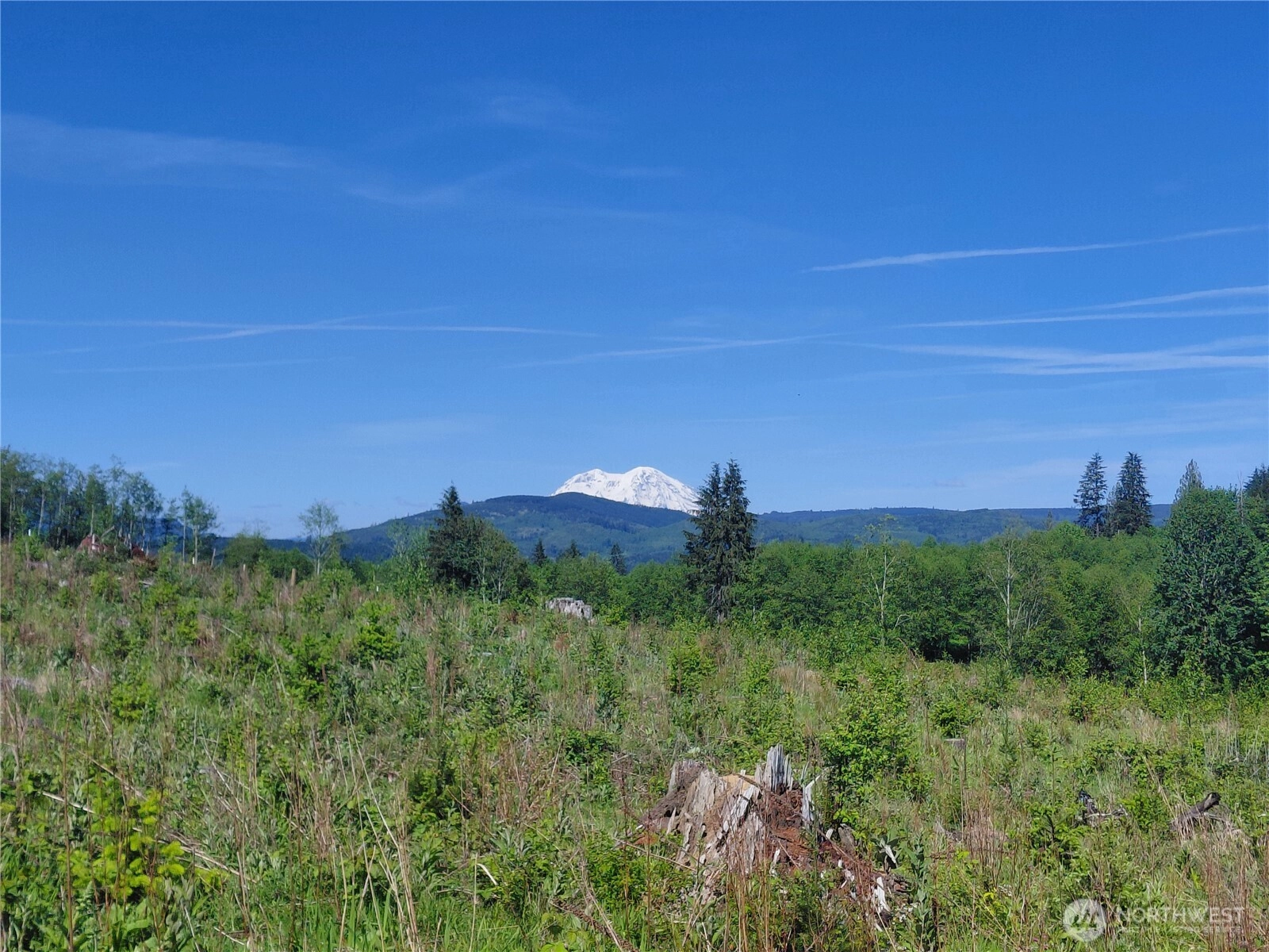 195 82 Hagen Rd Unit  Mossyrock WA 98564