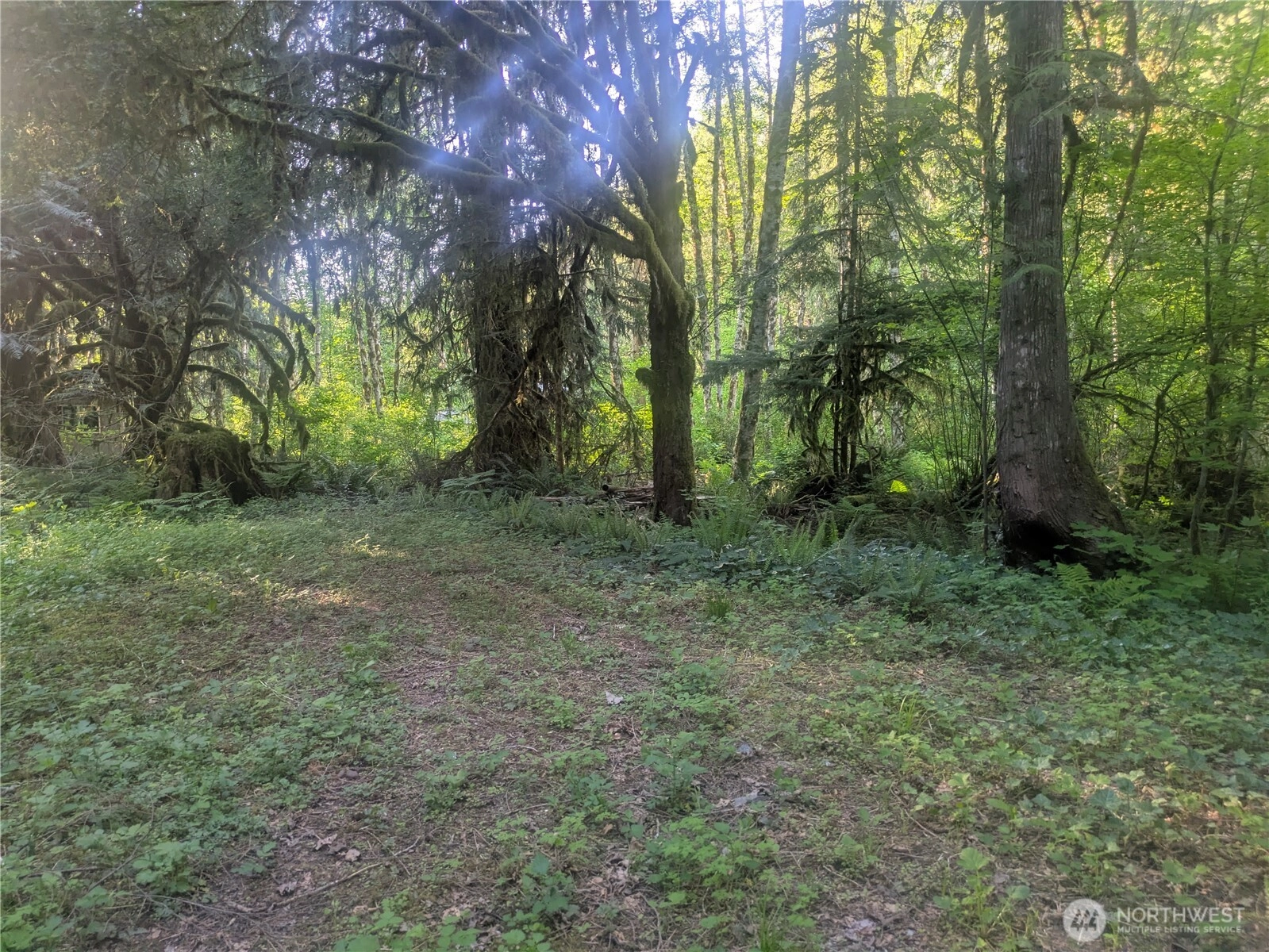 63323 W Cascade Way Unit D3-19 Unit D3-19 Marblemount WA 98267
