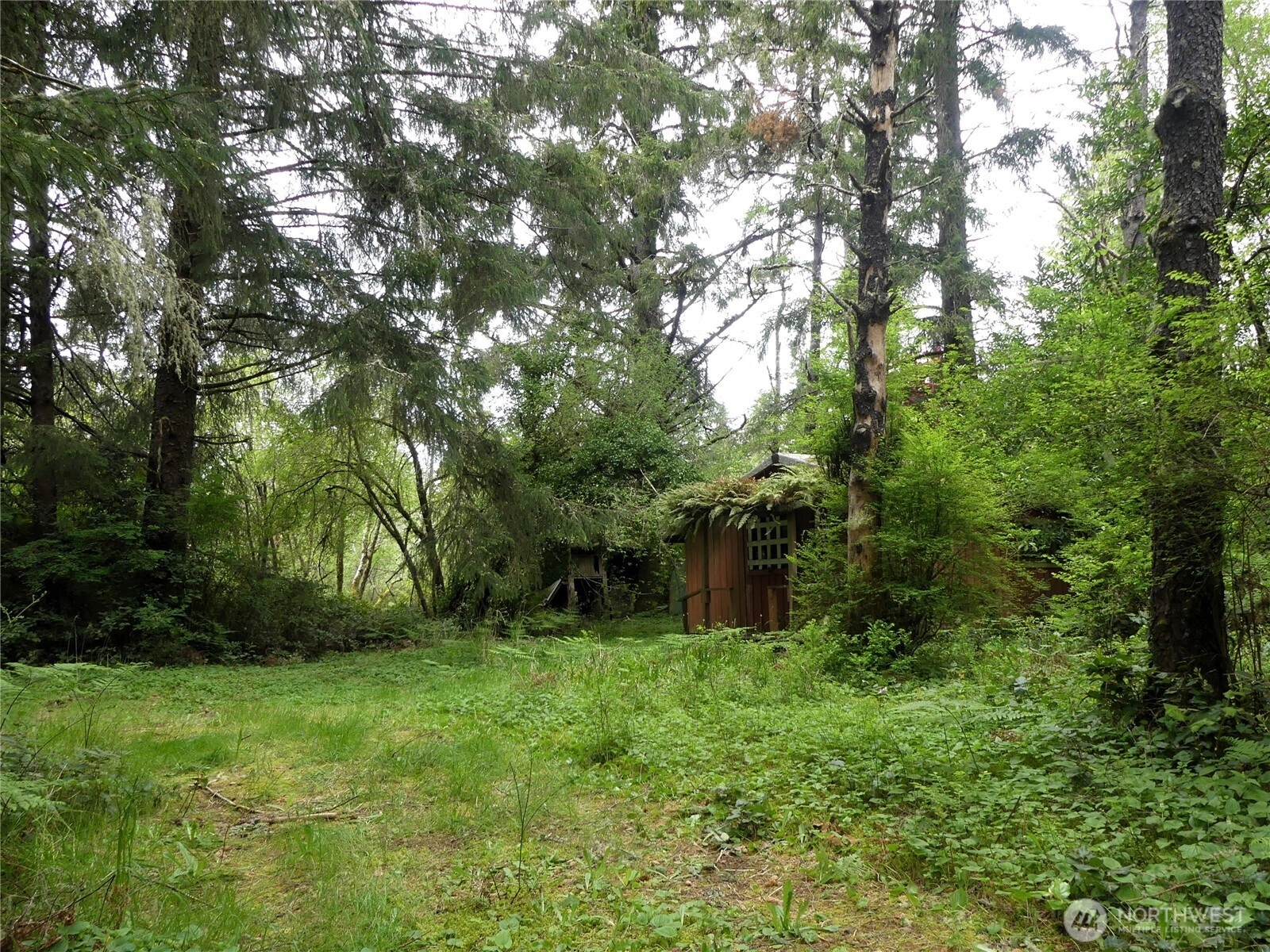 14001 Birch St Long Beach WA 98631