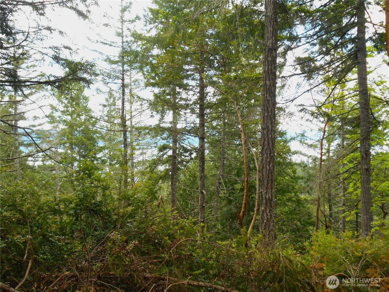 101 Hwy Unit  Brinnon WA 98320