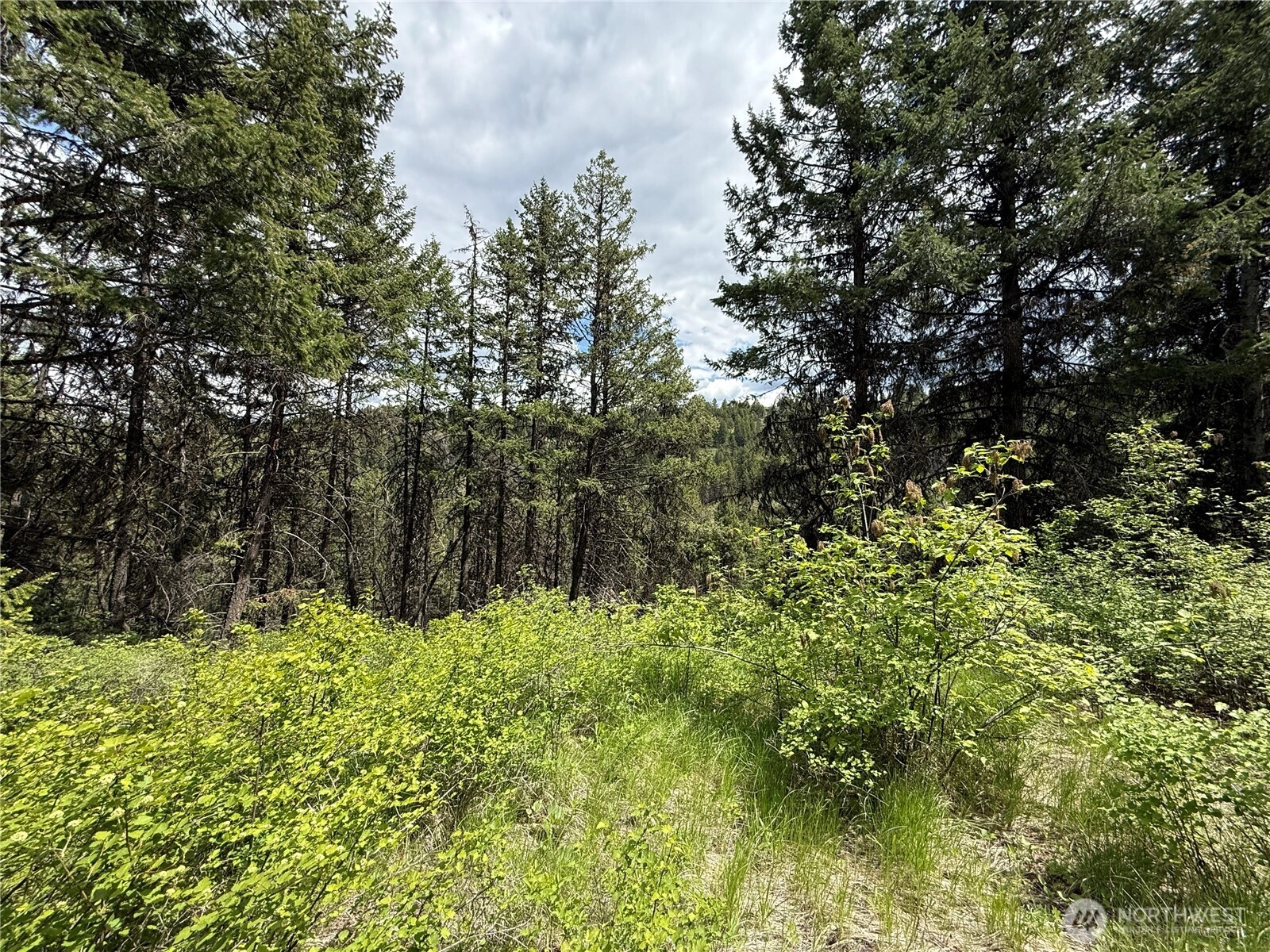 0 Lot 131 Slippery Hill Rd Unit  Republic WA 99166