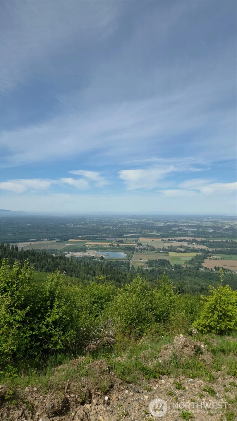Ocean Rd Everson WA 98247