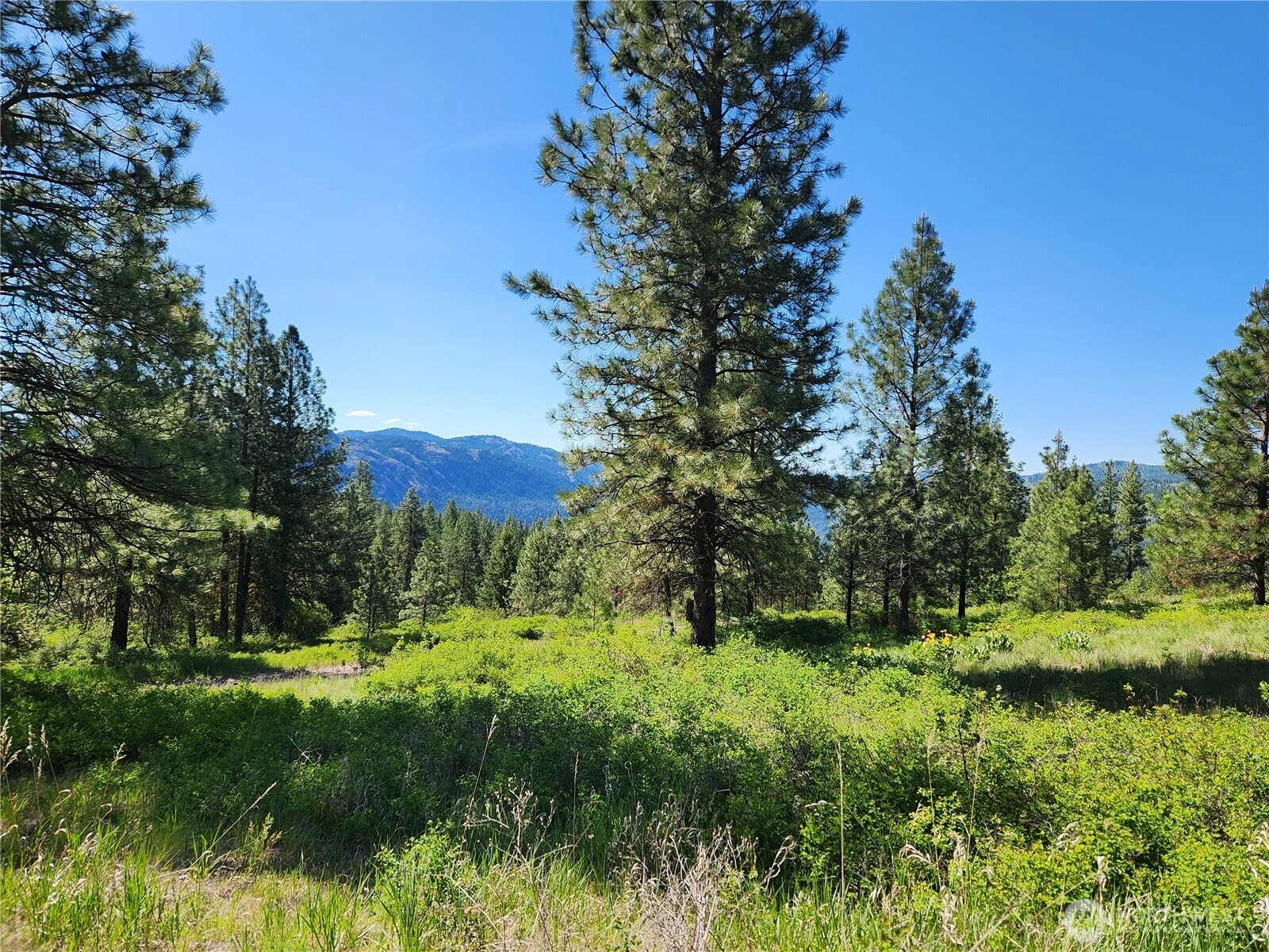 Gold Mountain Rd Unit  Republic WA 99166