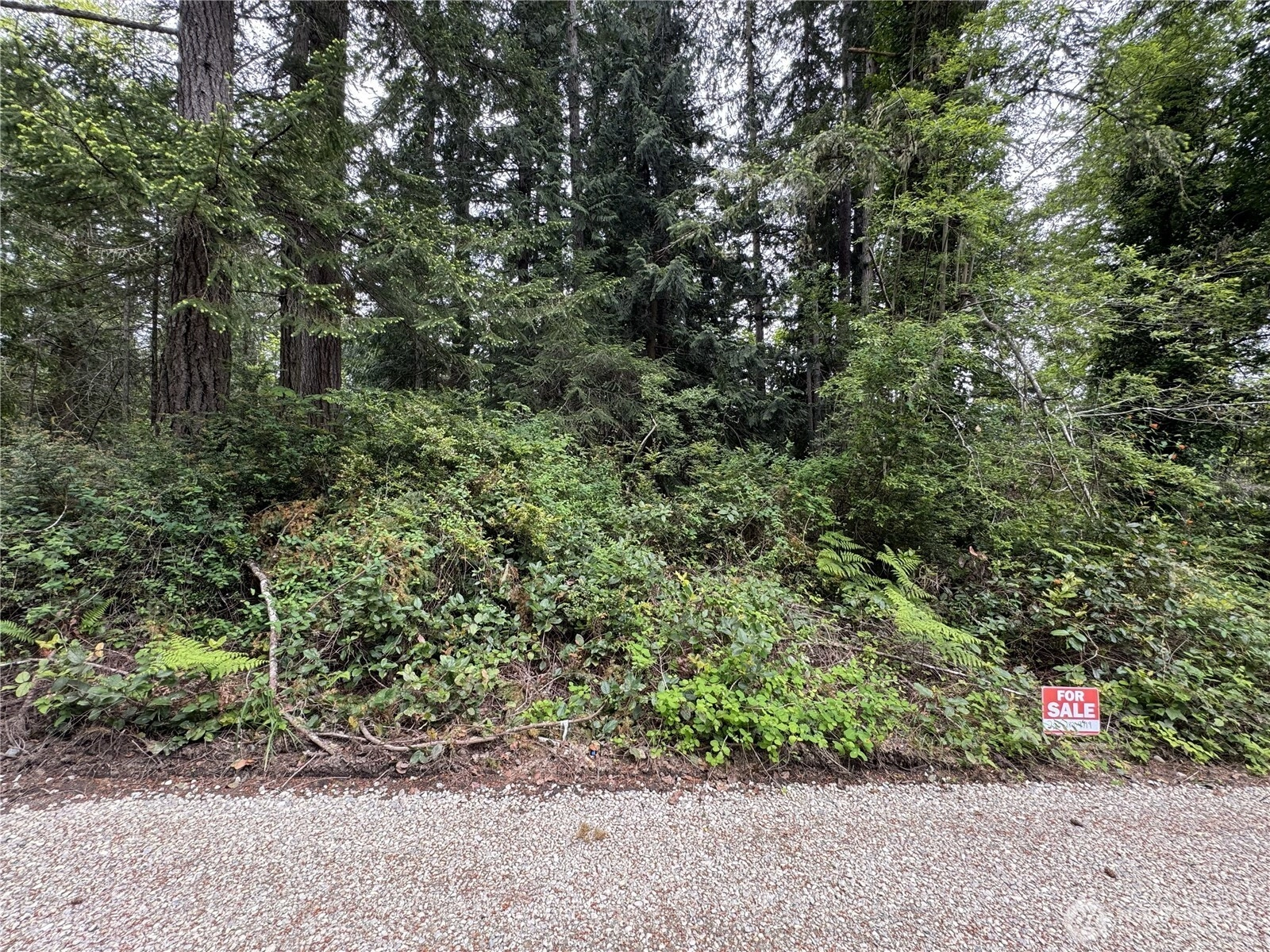 Moose Rd Quilcene WA 98376