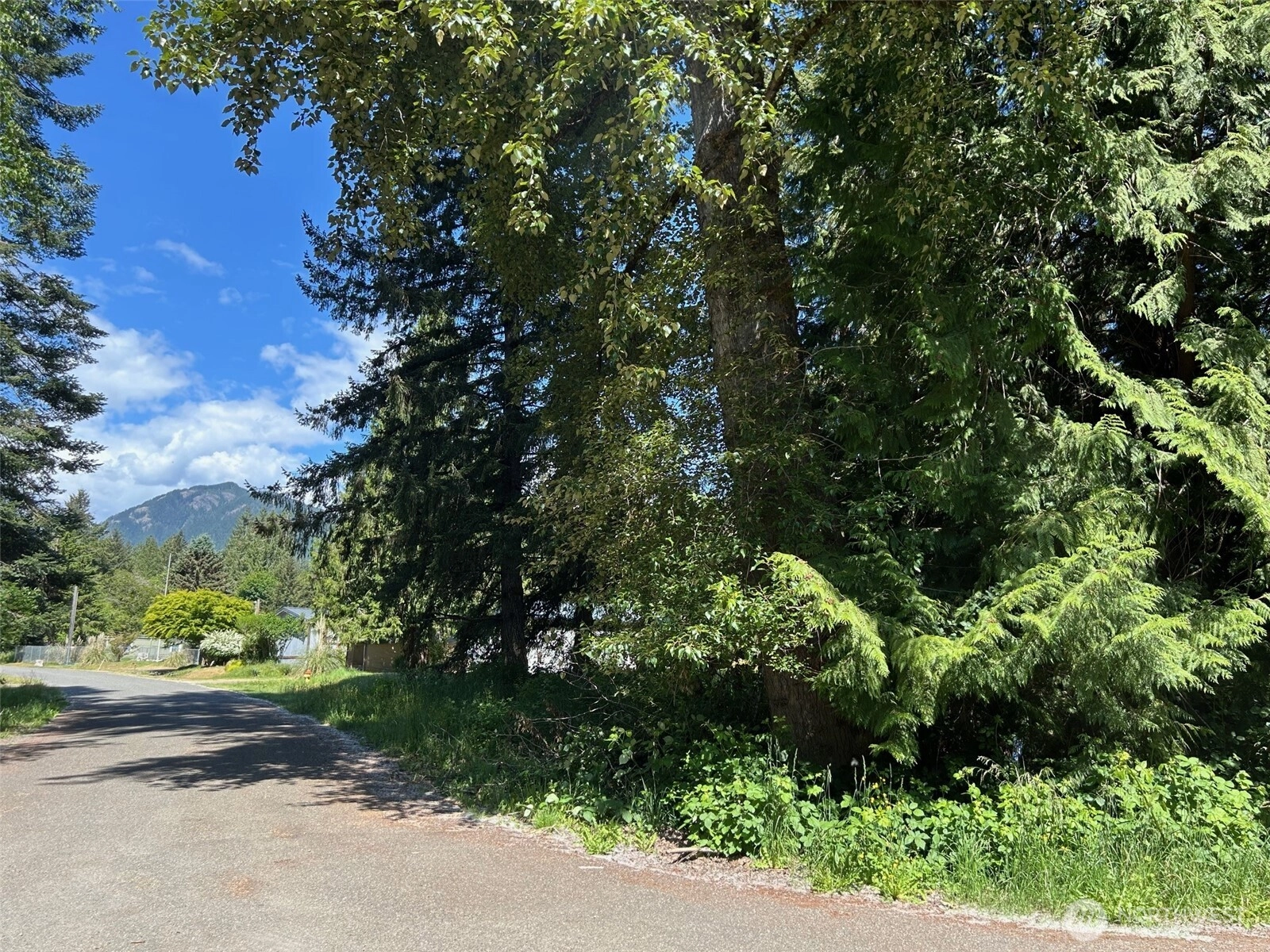 201 Morgan Ln Unit  Brinnon WA 98320