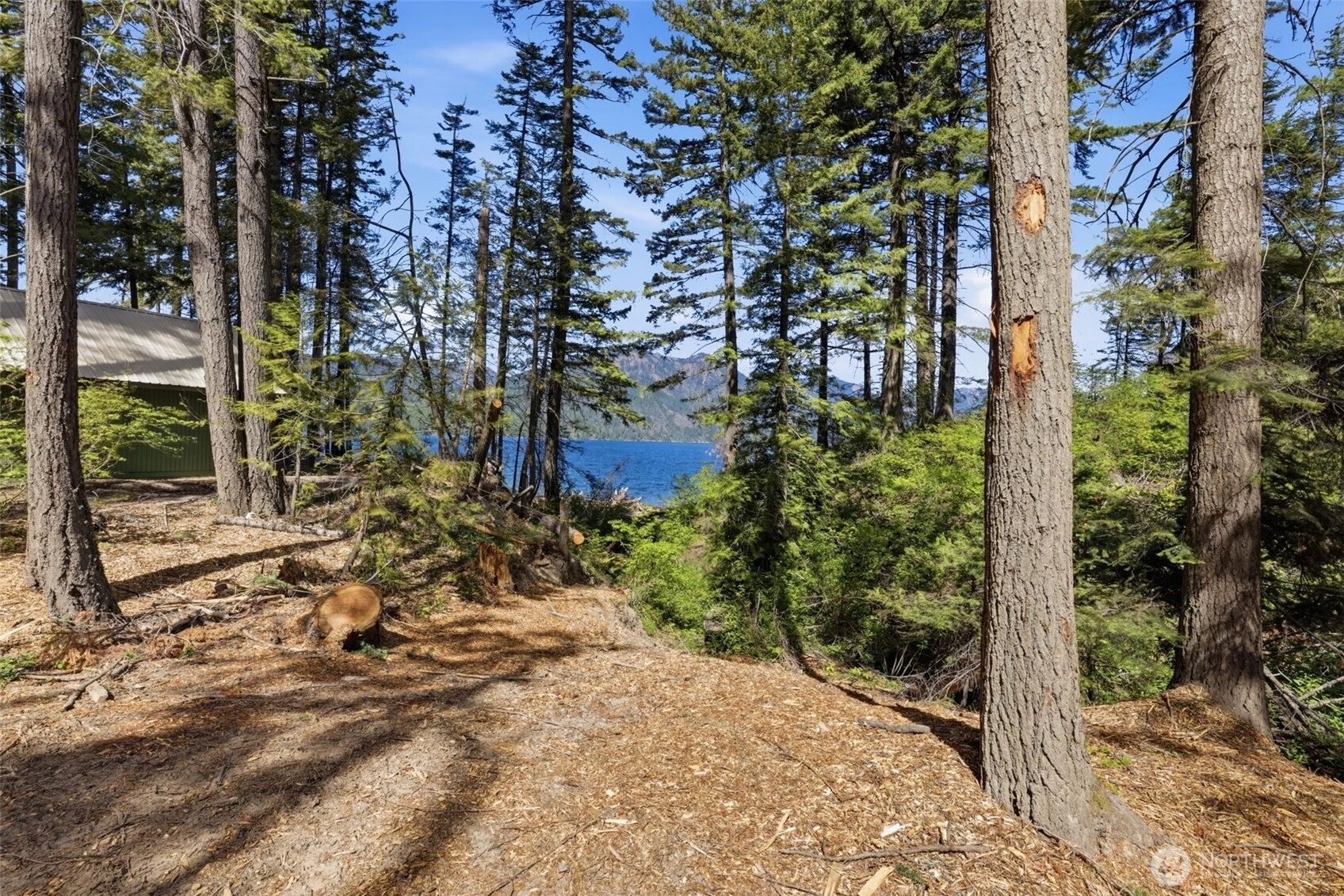 881 Lake Cabins Rd Unit  Ronald WA 98940