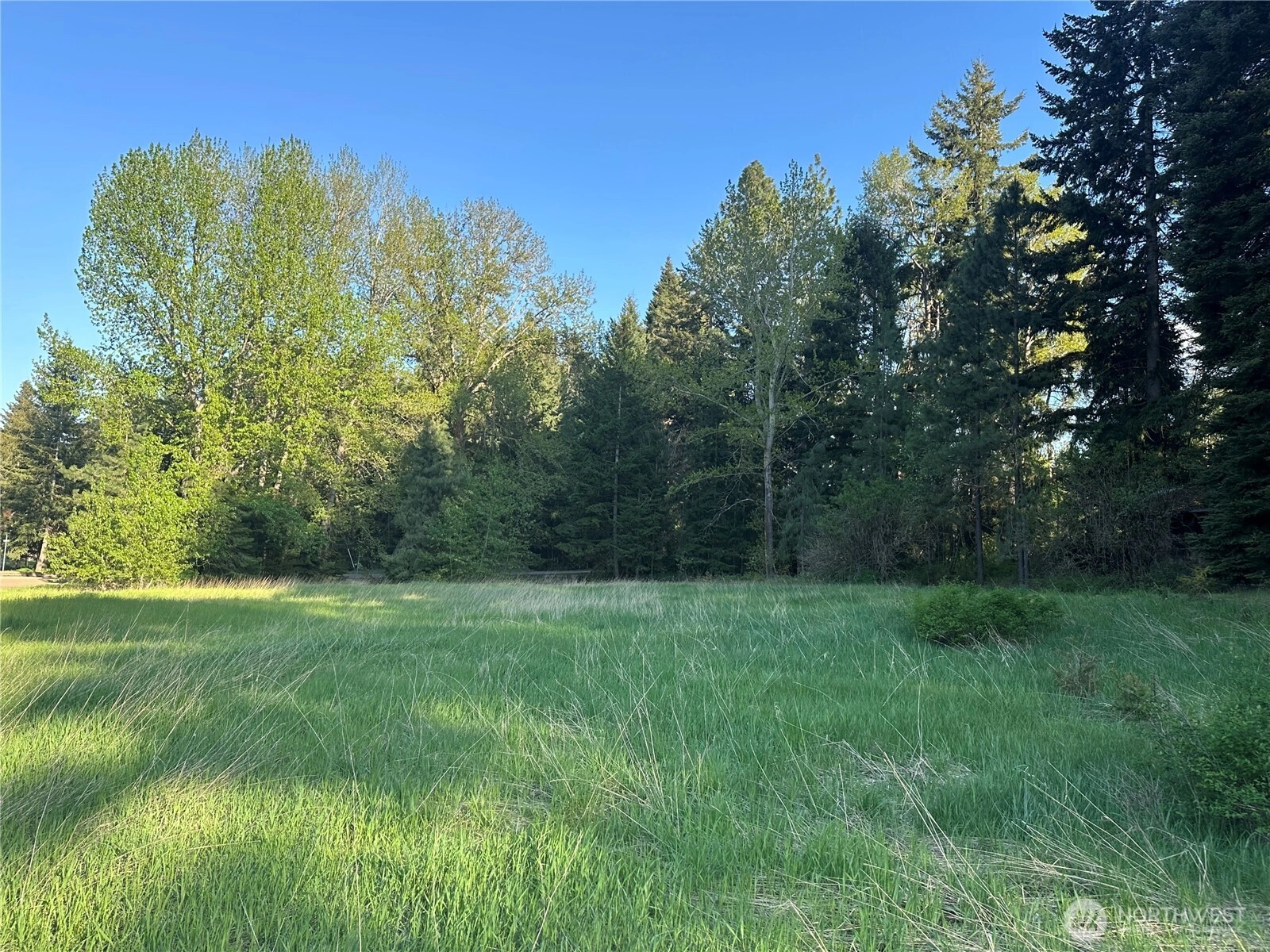 Beaver Ln Cle Elum WA 98922