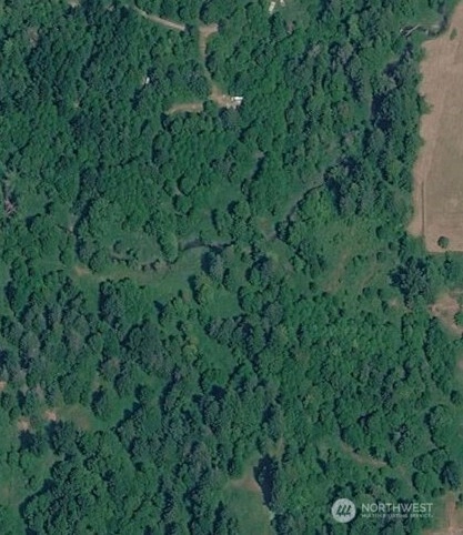 Cedar Grove Rd Randle WA 98377