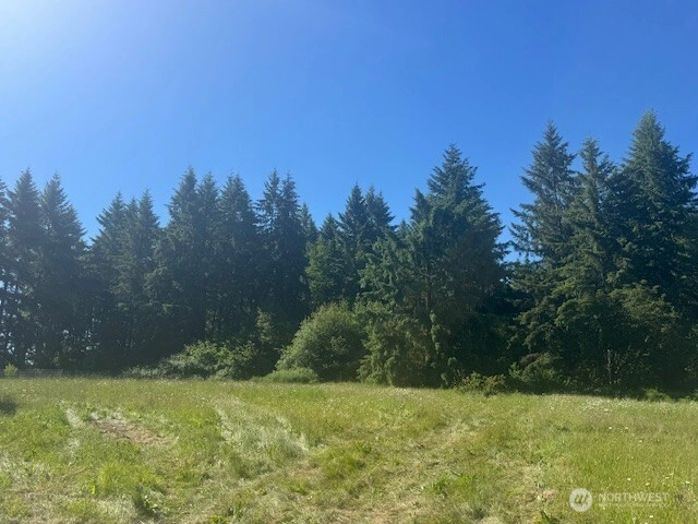 692 24 Burchett Rd Onalaska WA 98570