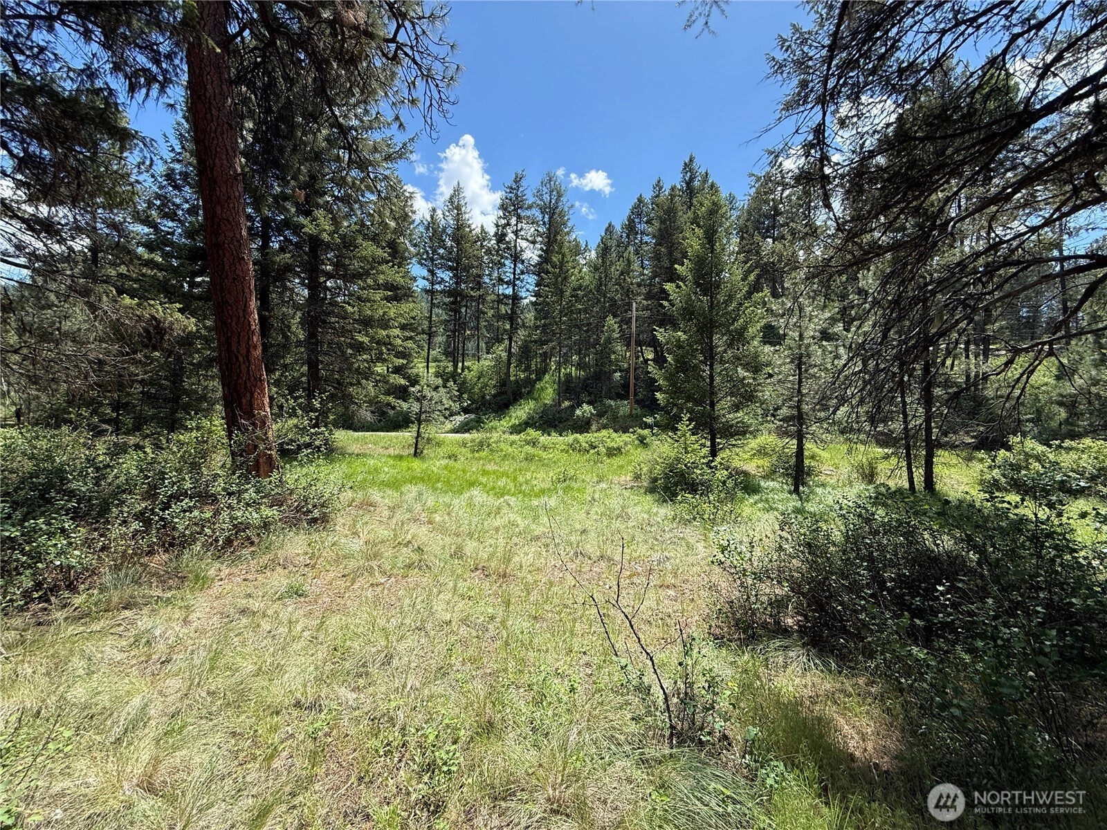 21 Pine Grove St Unit  Republic WA 99166