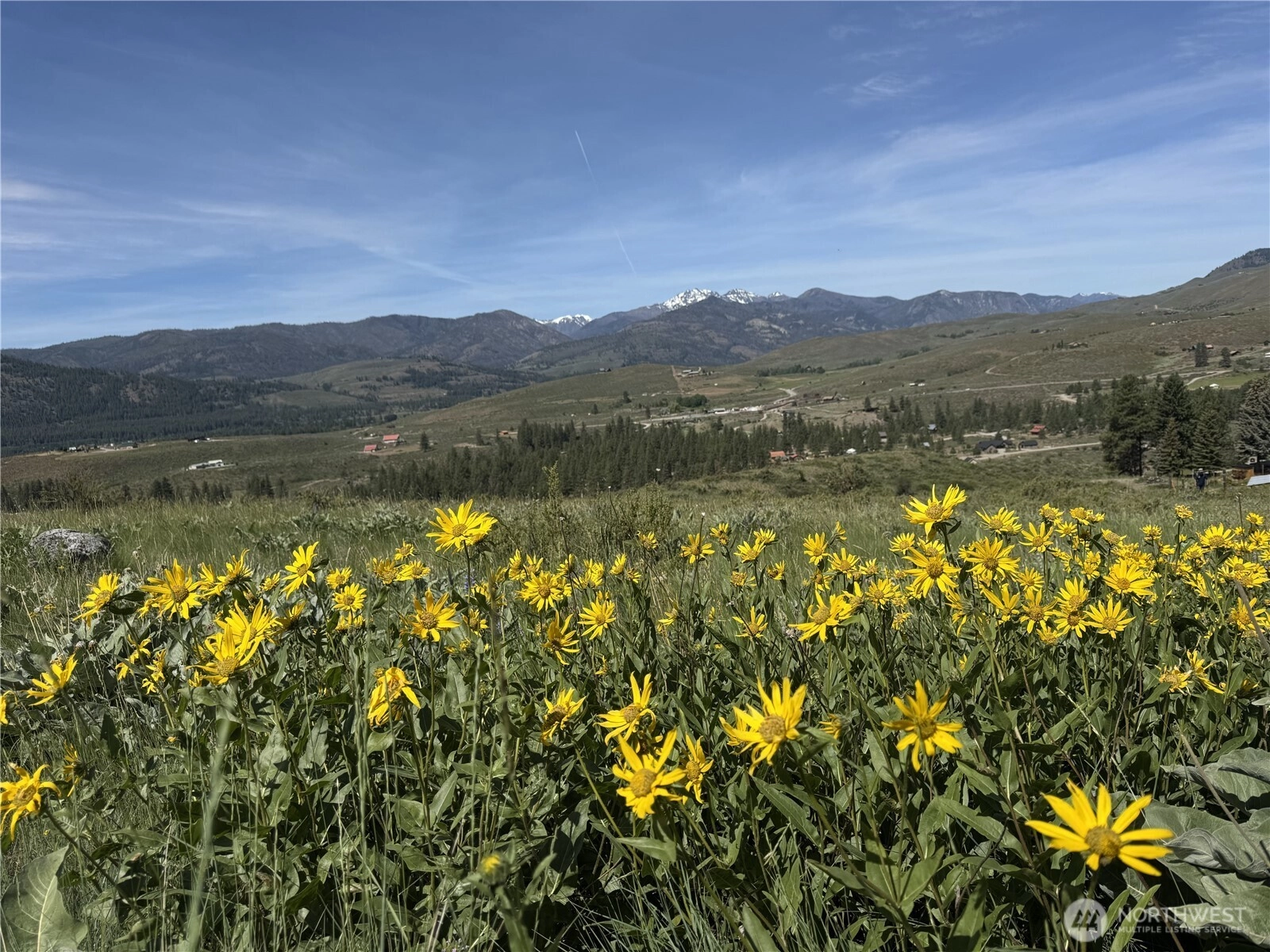 62 xx Bella Vista Lane Winthrop WA 98862
