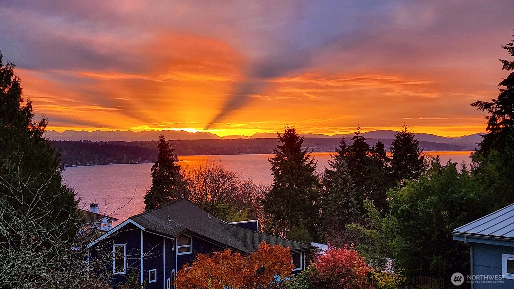 11524 Durland Ave NE Seattle WA 98125