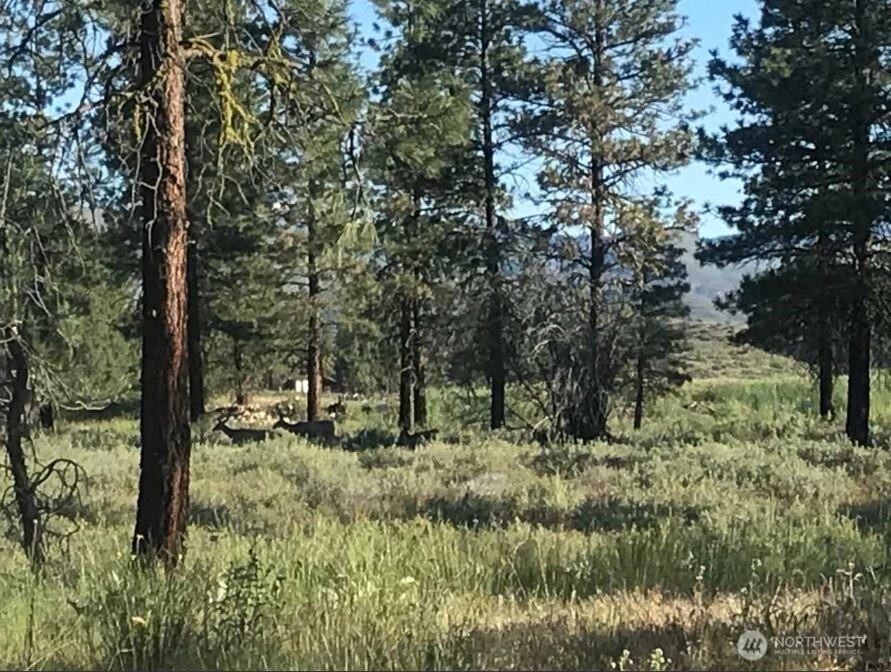 1 Wild Rose Rd N Winthrop WA 98862