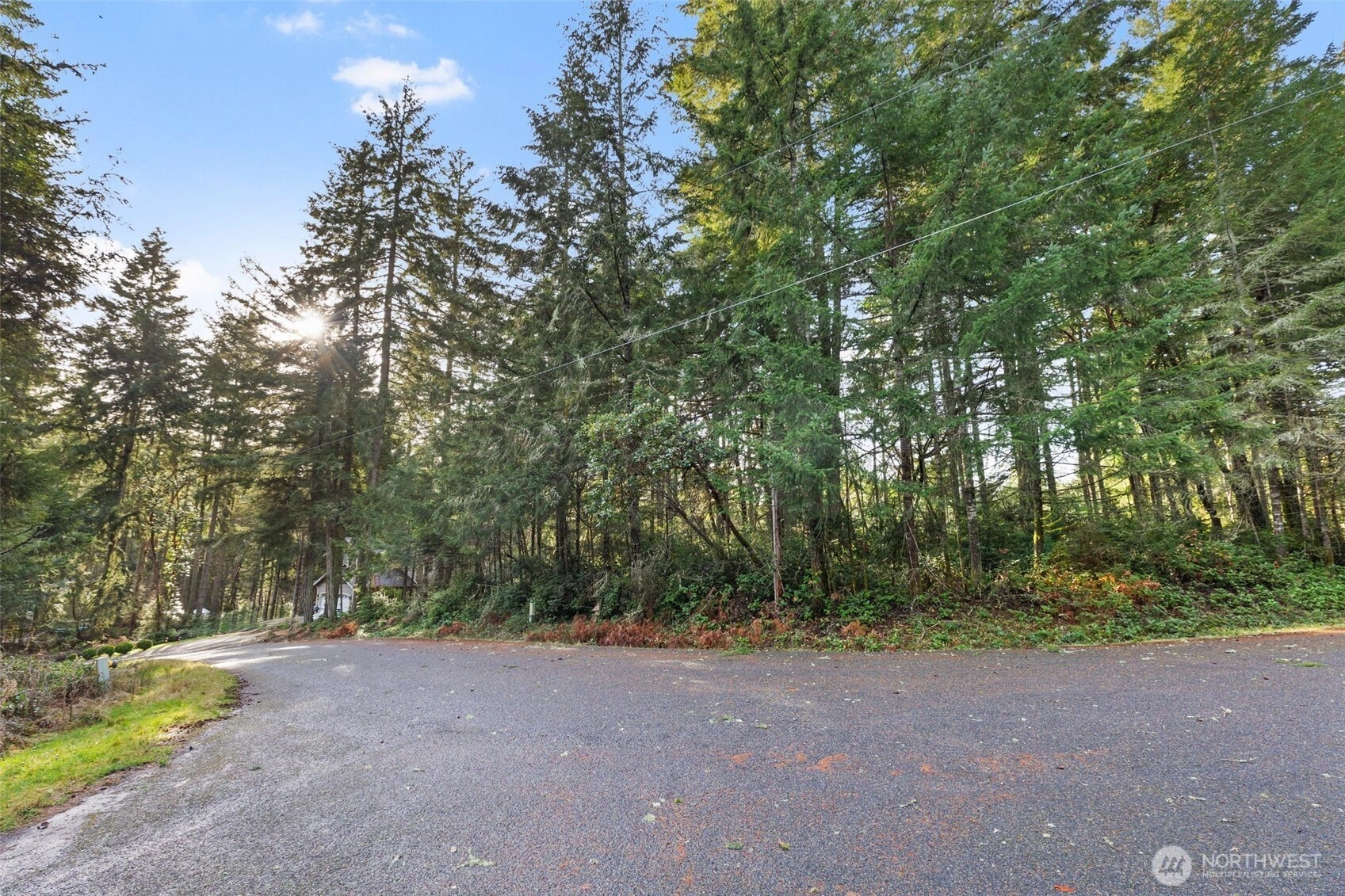 10510 Olympic Pl Anderson Island WA 98303