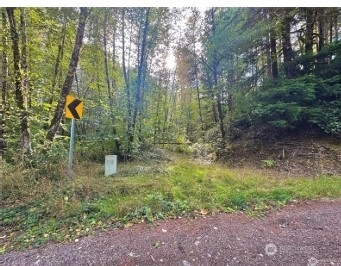 1085 N Lake Cushman Rd Hoodsport WA 98548