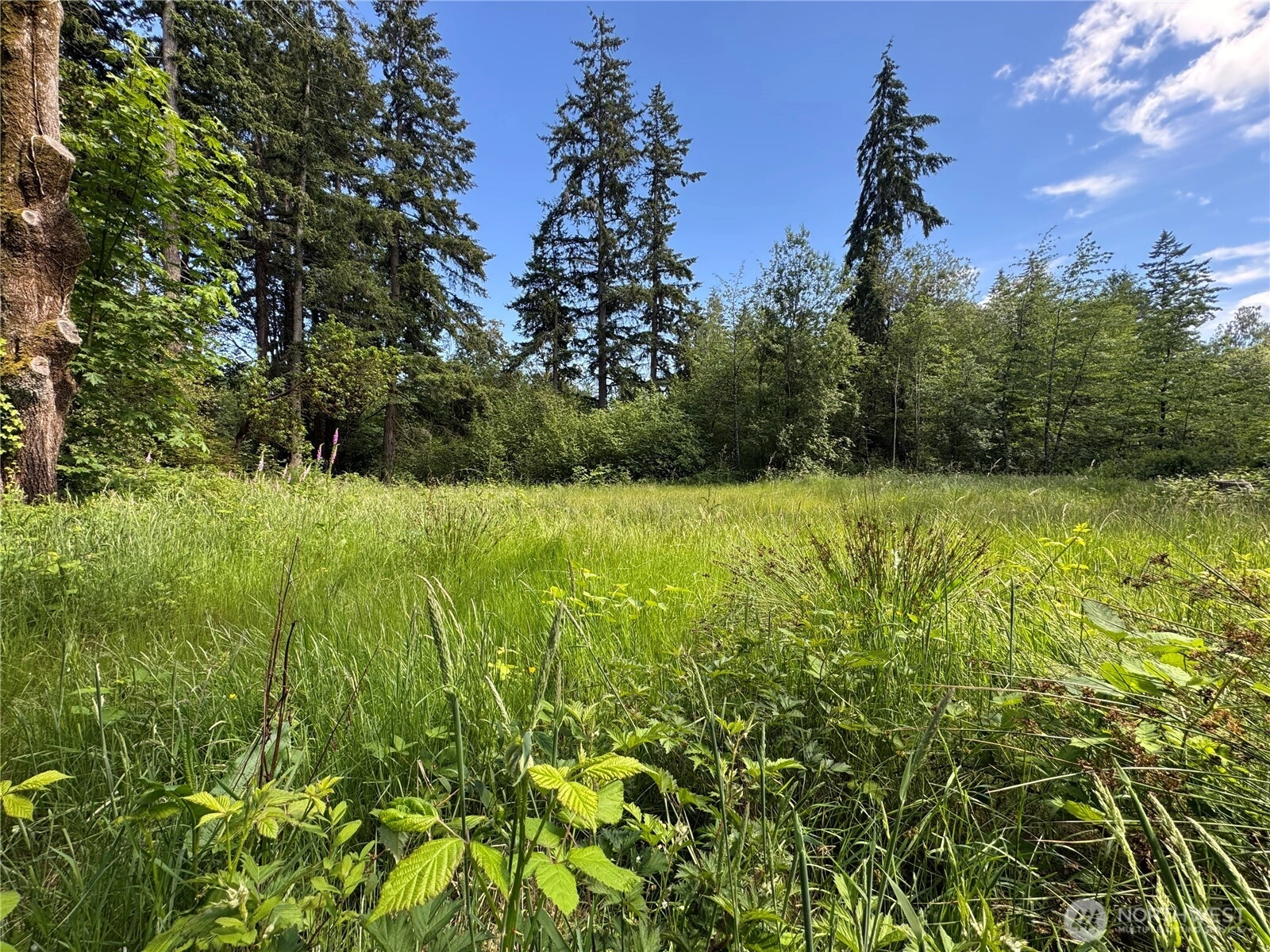 16330 93rd Ave SW Vashon WA 98070