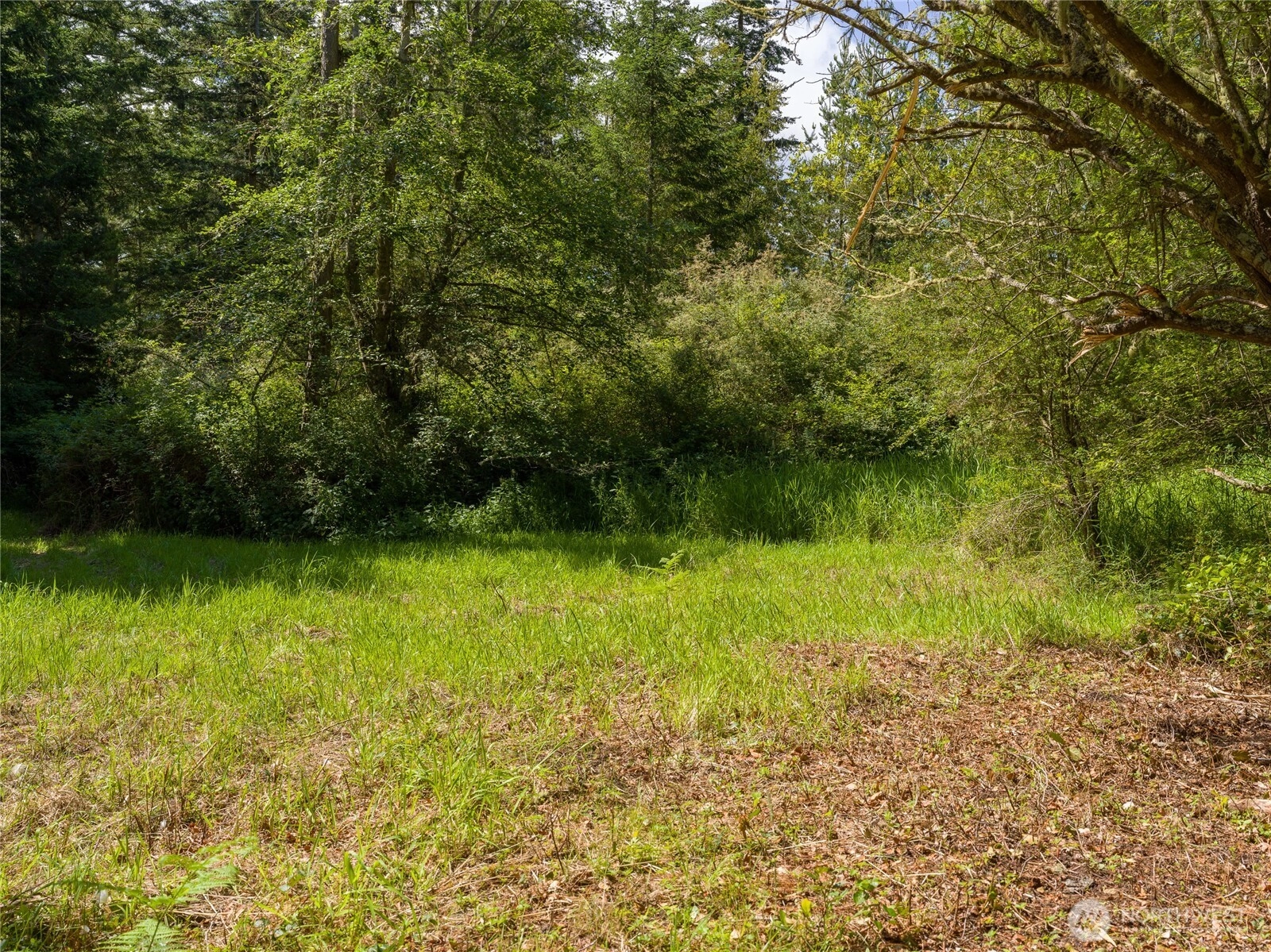 1486 Center Rd Lopez Island WA 98261