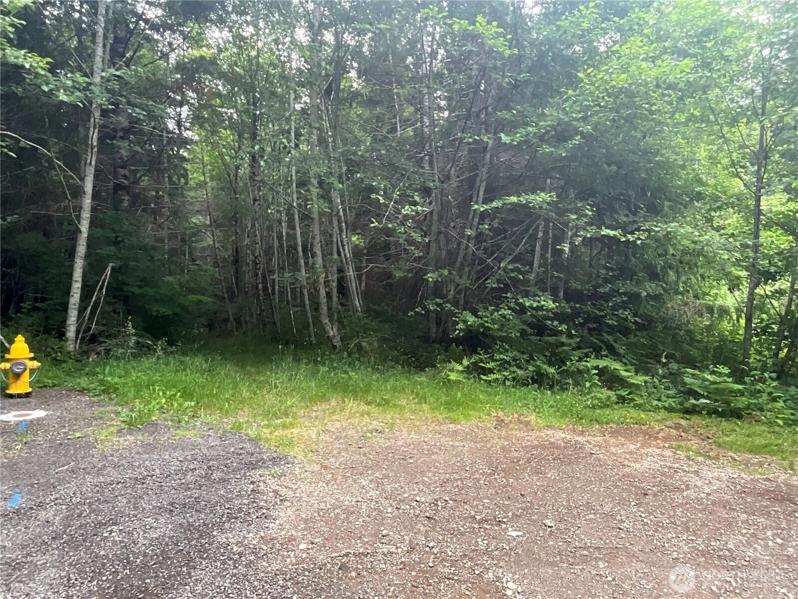 310 W Thunderbird Dr Unit  Elma WA 98541