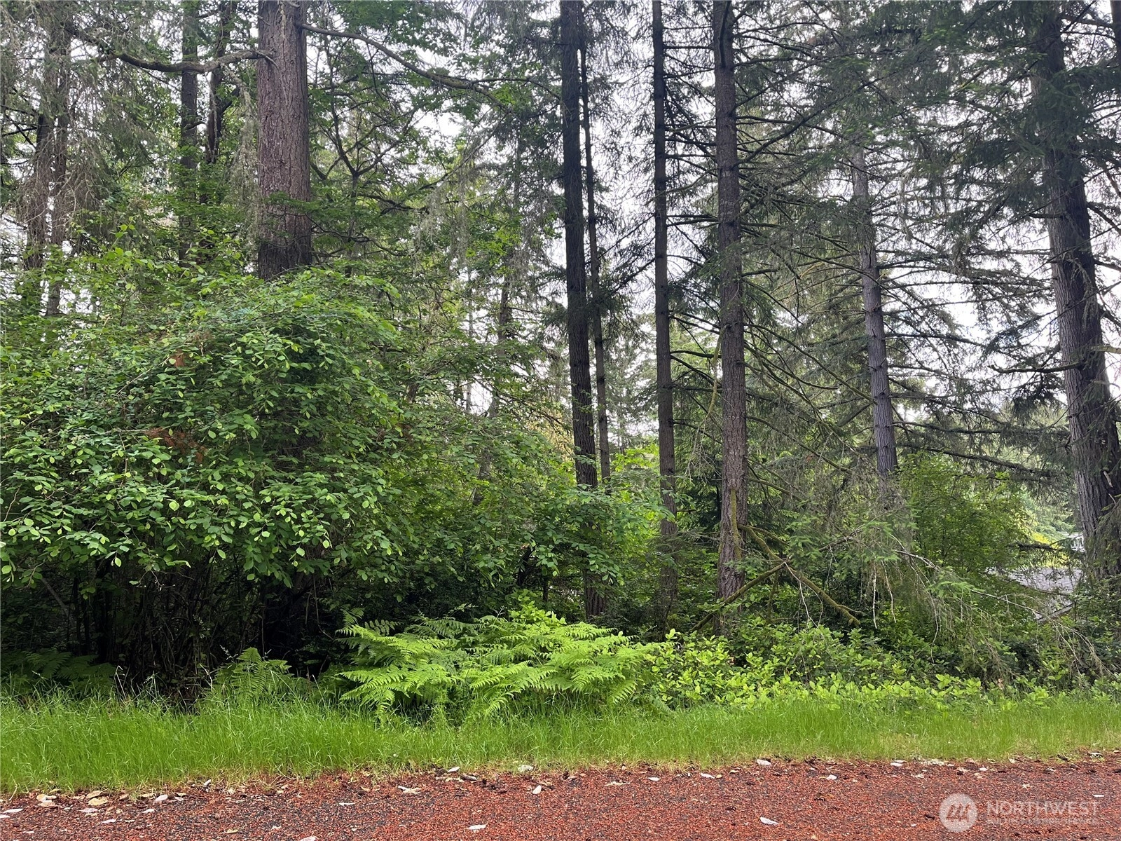 11111 Juniper Pl Unit  Anderson Island WA 98303