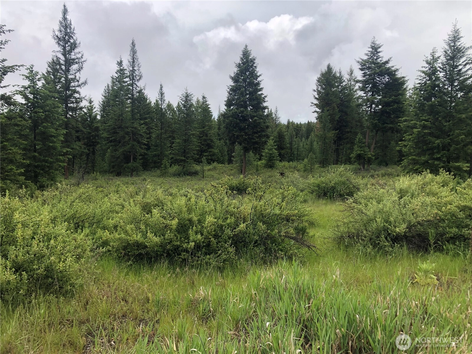 36 Corral Dr Unit  Oroville WA 98844