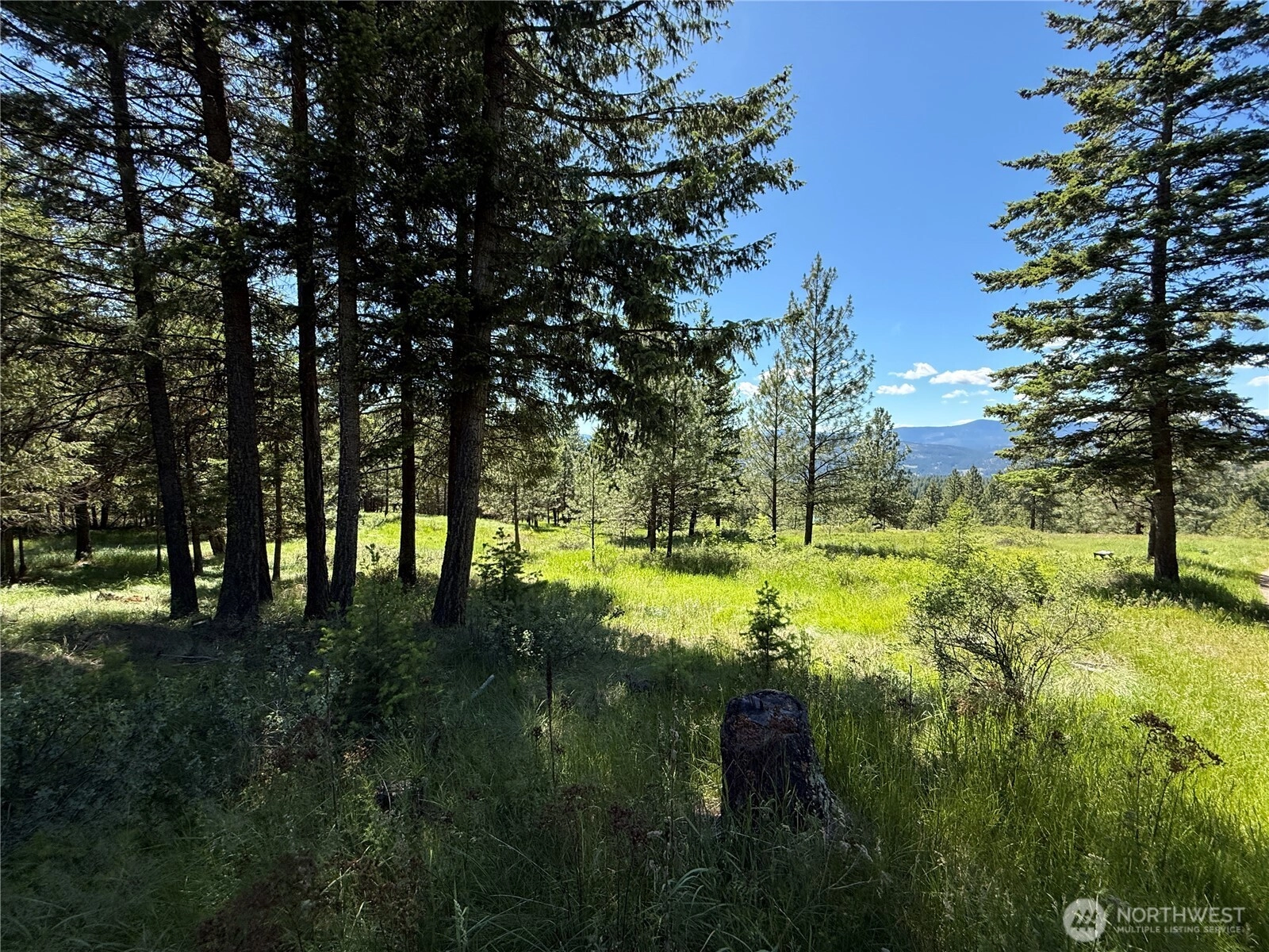 5 Hidden Spring Ranch Rd Unit  Republic WA 99166