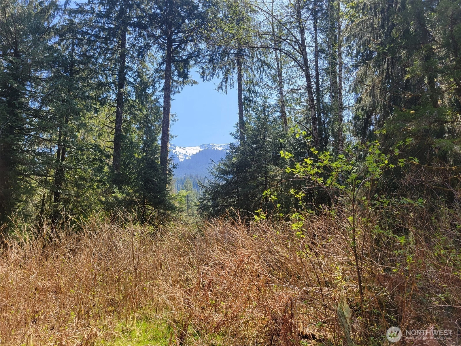 0 XXX Mtn Loop Hwy Granite Falls WA 98252
