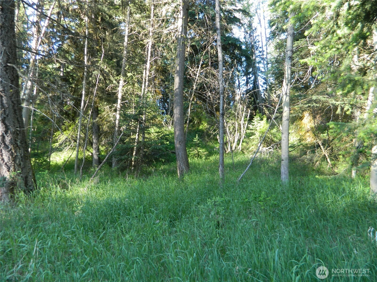 Tbd Lake View Dr Unit  Oroville WA 98844