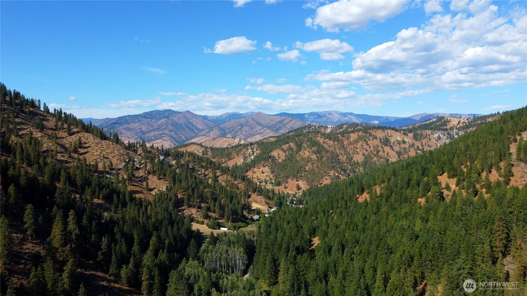 Brisky Canyon Cashmere WA 98858