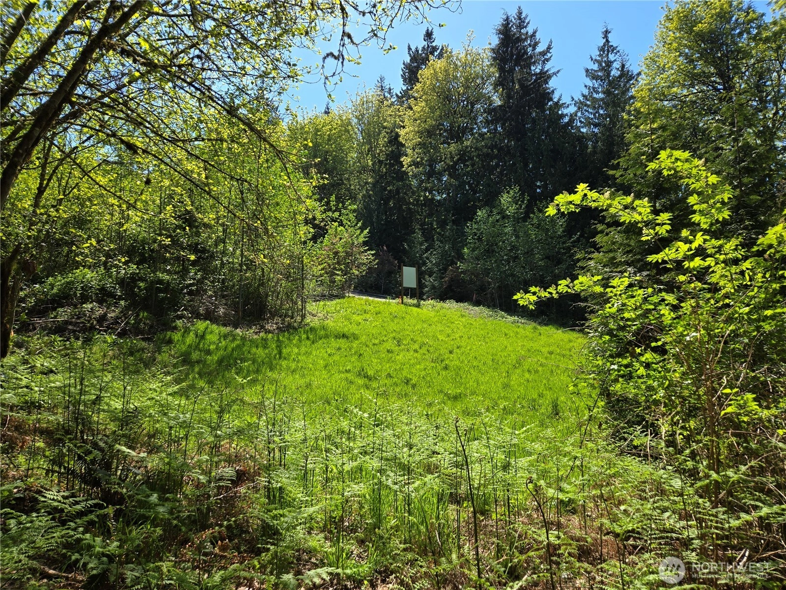 286 XX NE 156th St Unit  Duvall WA 98019