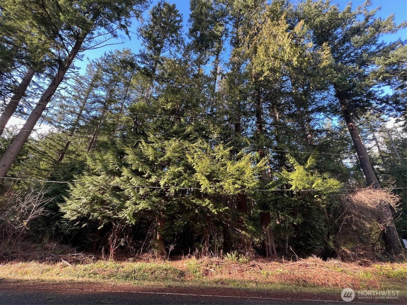 0 Lot 1 Mill Rd Unit  Point Roberts WA 98281