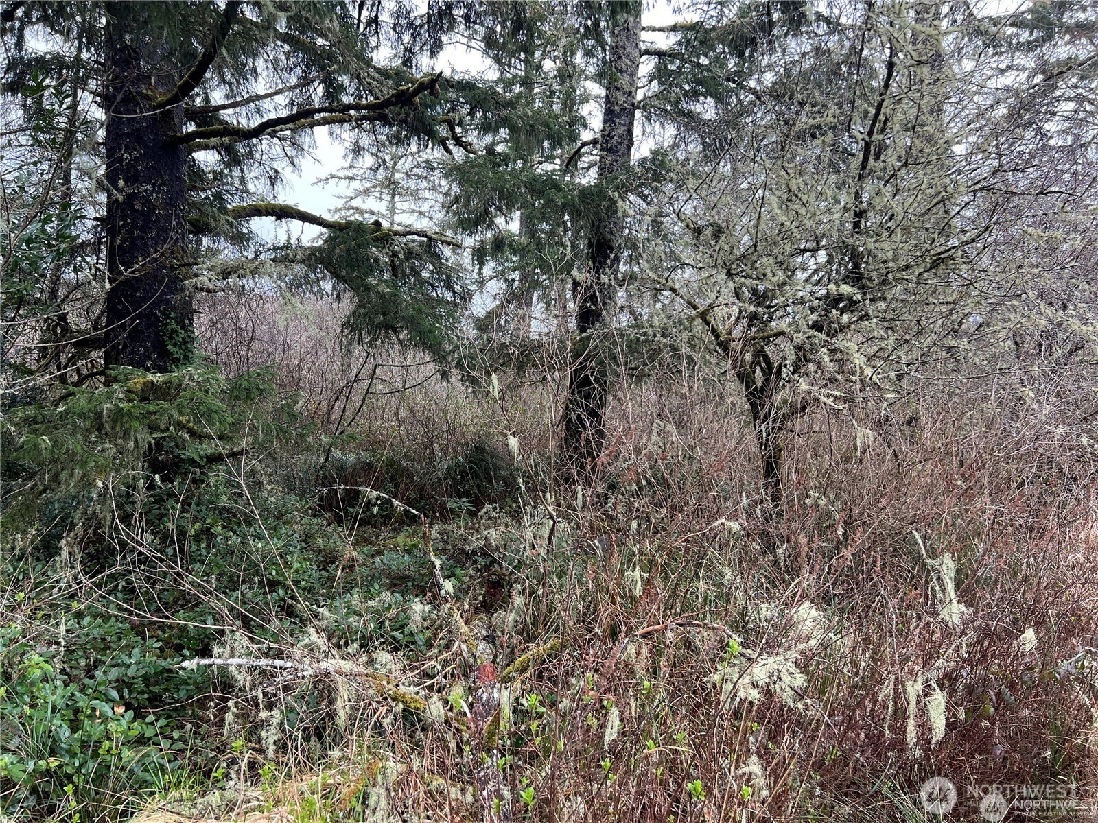 0 X 102nd Pl Unit  Long Beach WA 98631