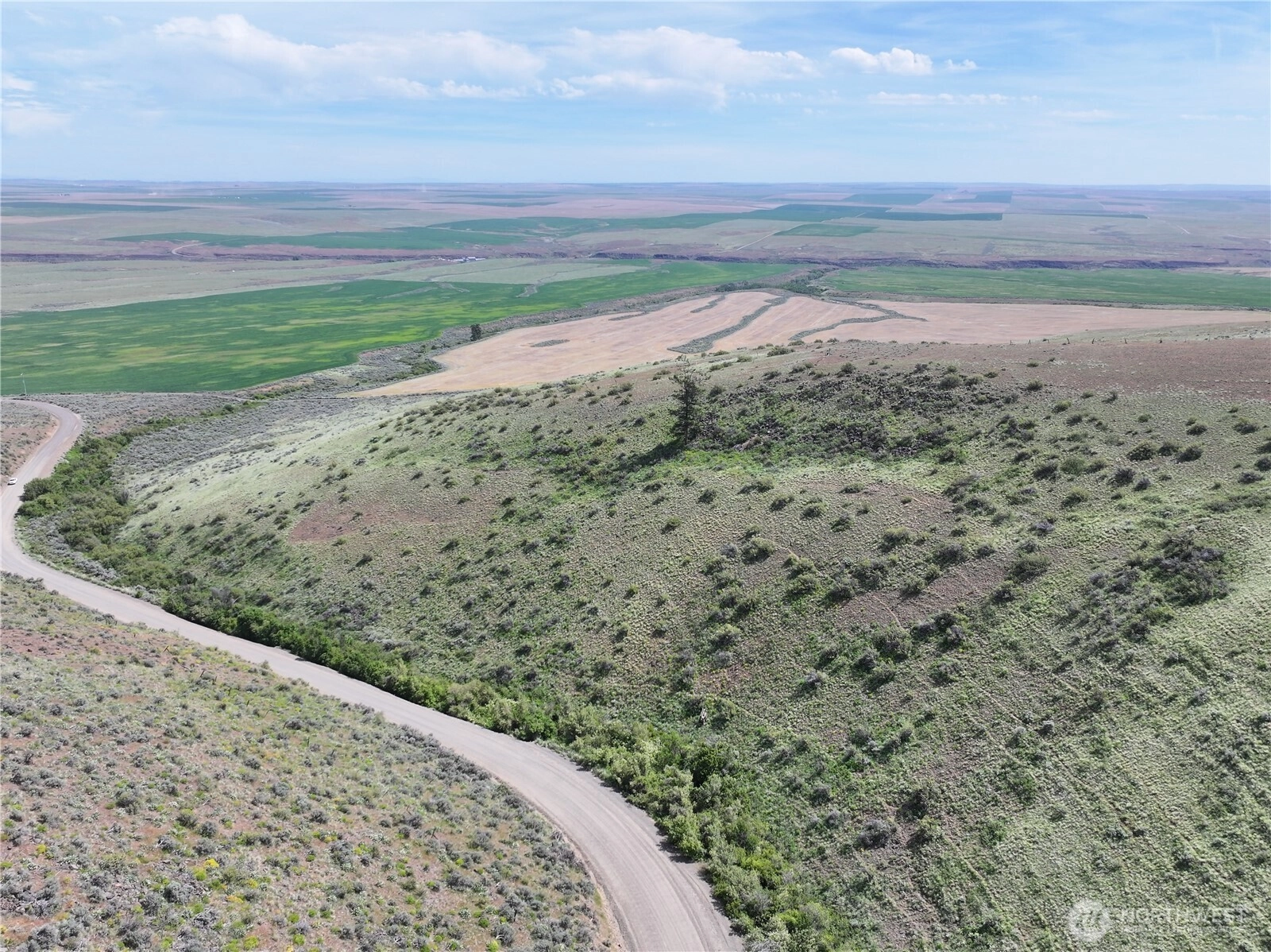 Titchenal Canyon Rd SW Waterville WA 98858