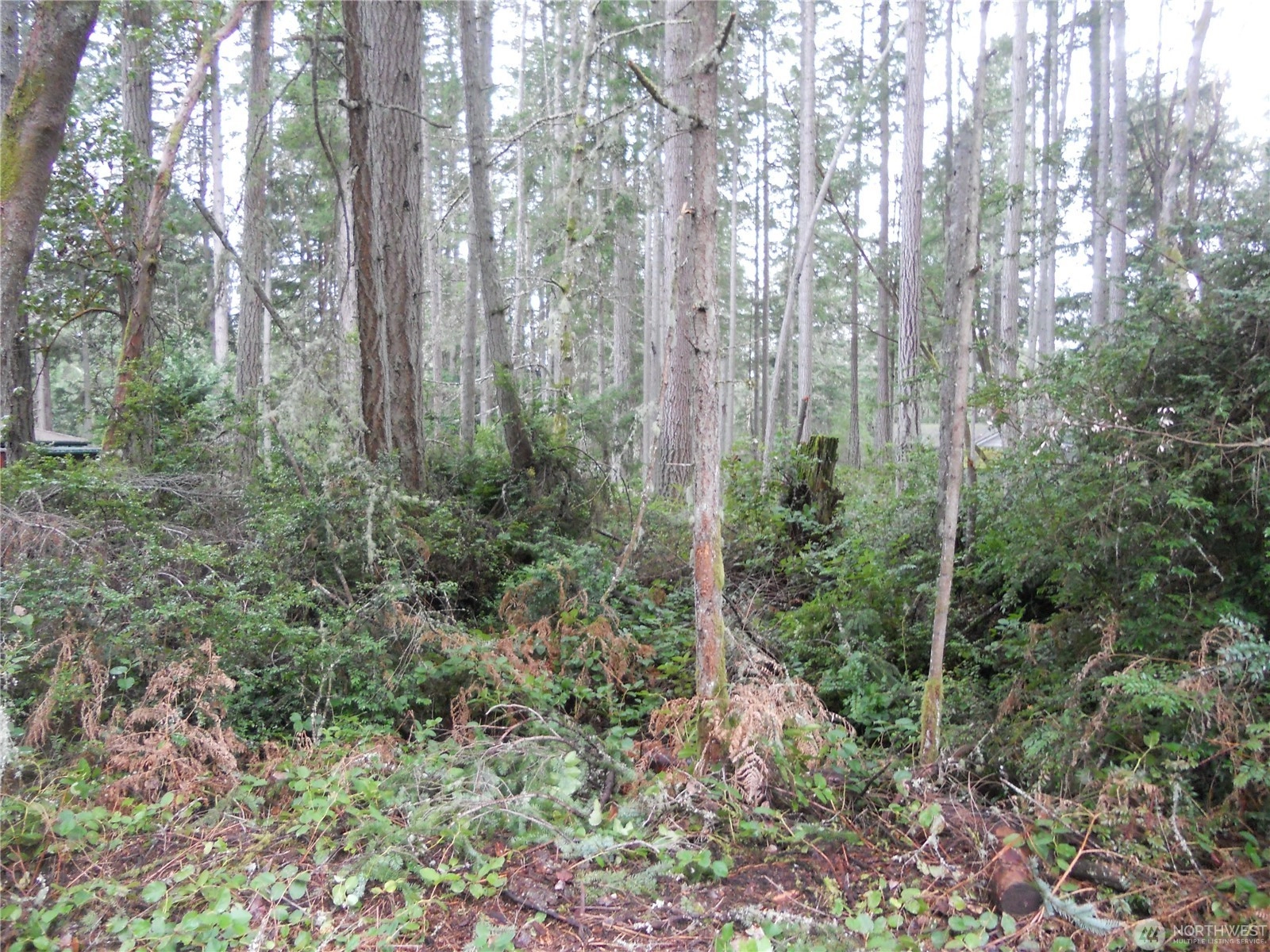 10424 107th Ave Ct Anderson Island WA 98303