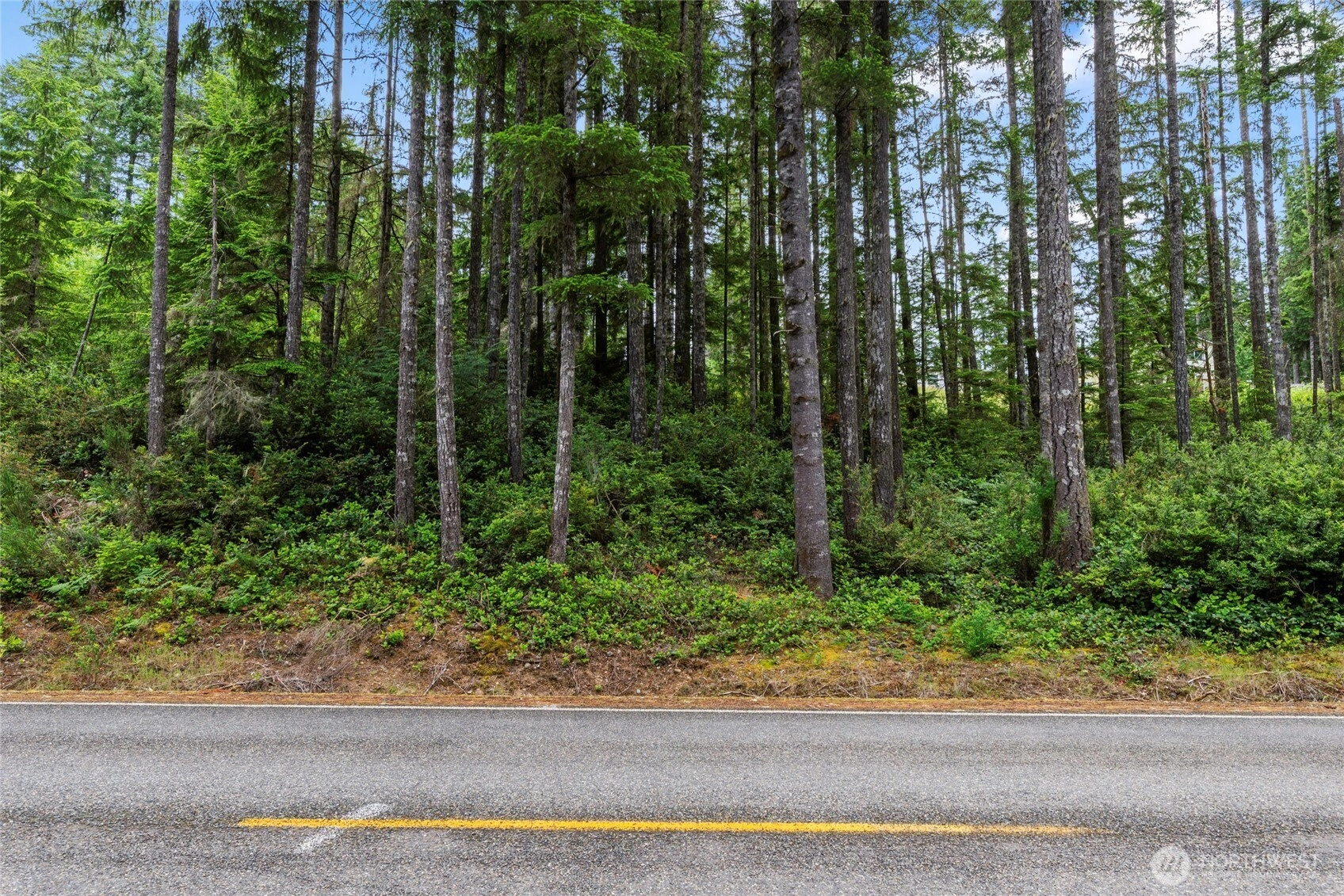 4611 E Rasor Rd W Unit  Belfair WA 98528