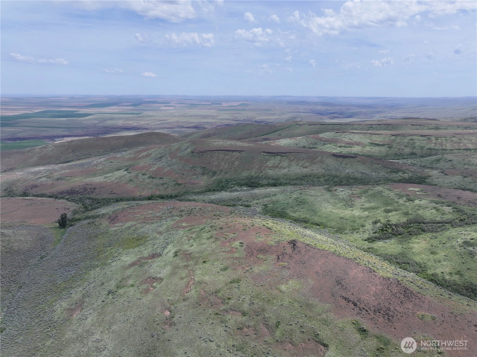Unnamed Rd SW Waterville WA 98858