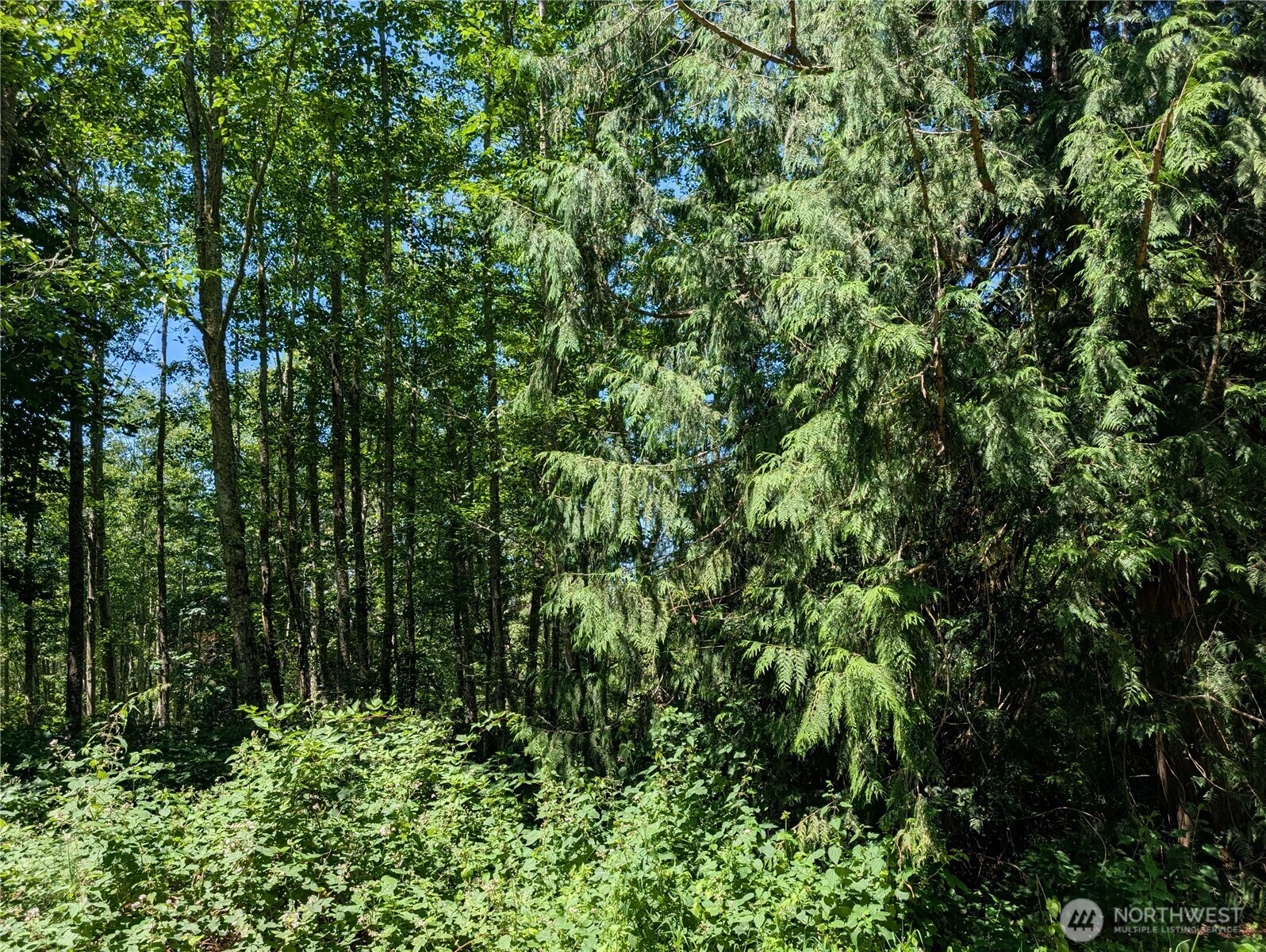21646 Snowden Dr Mount Vernon WA 98274