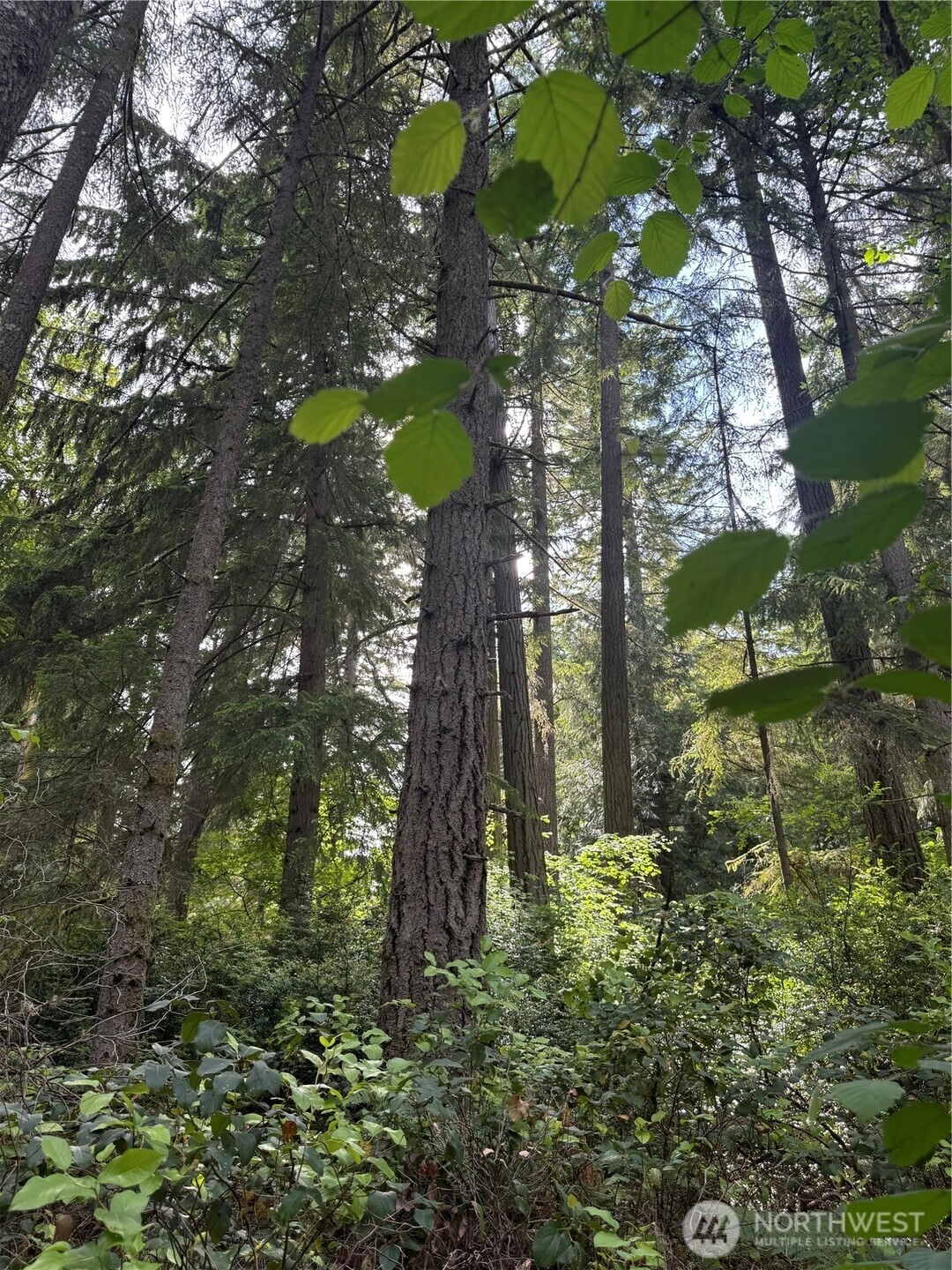 11717 Mill Pl Unit  Anderson Island WA 98303