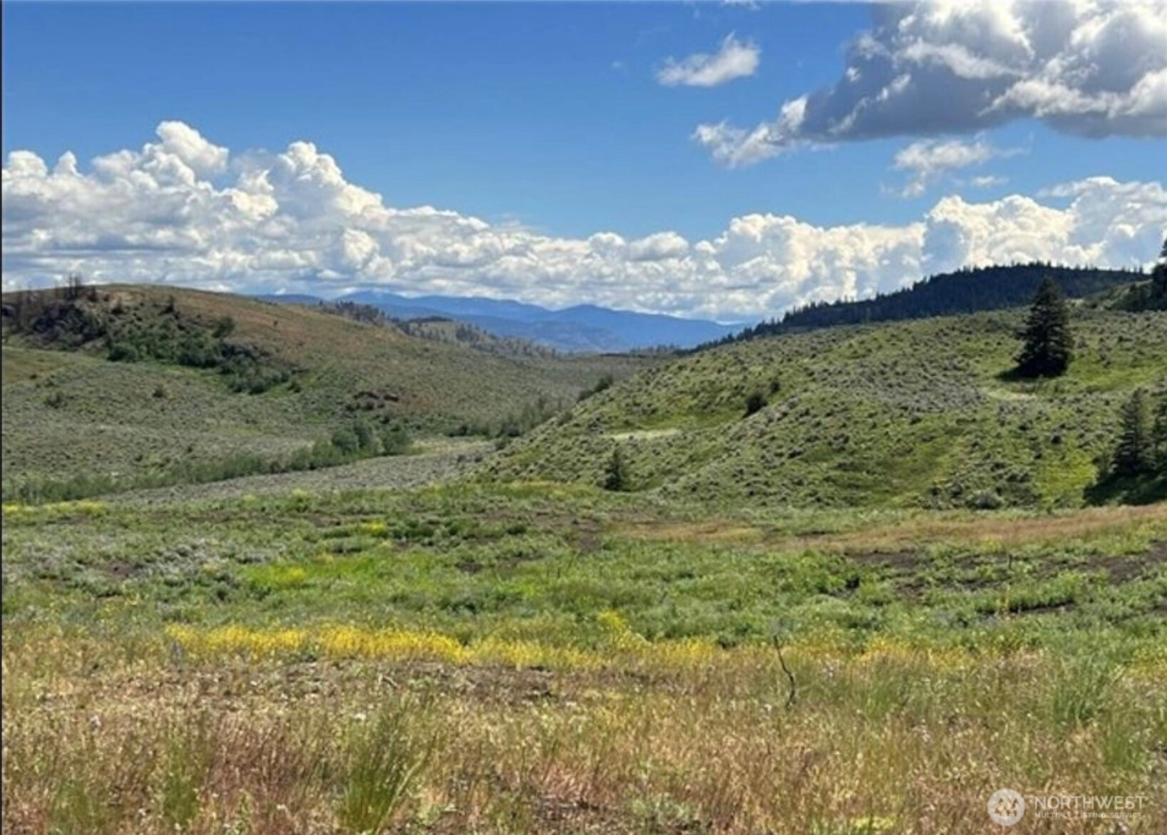 0 TBD Ellemeham Mountain Rd Oroville WA 98844
