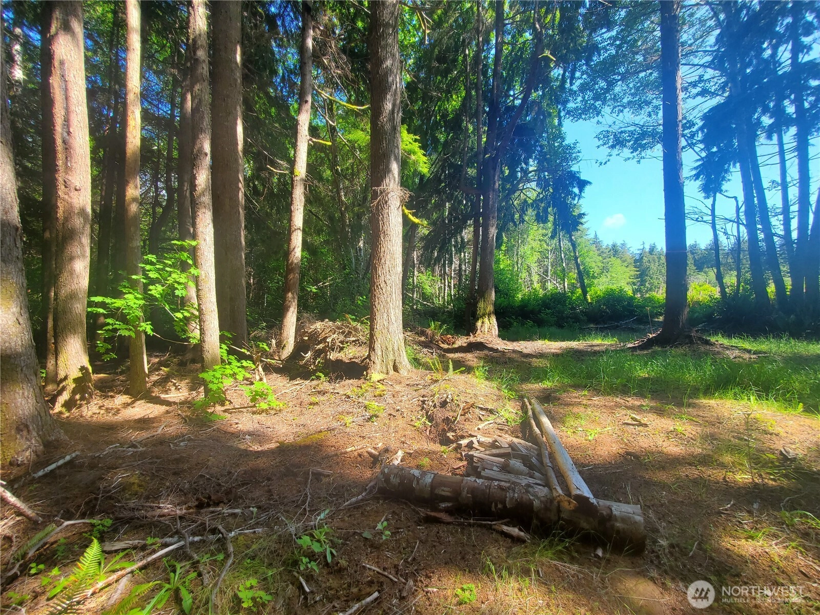 46 A North Shore Place Hoquiam WA 98550