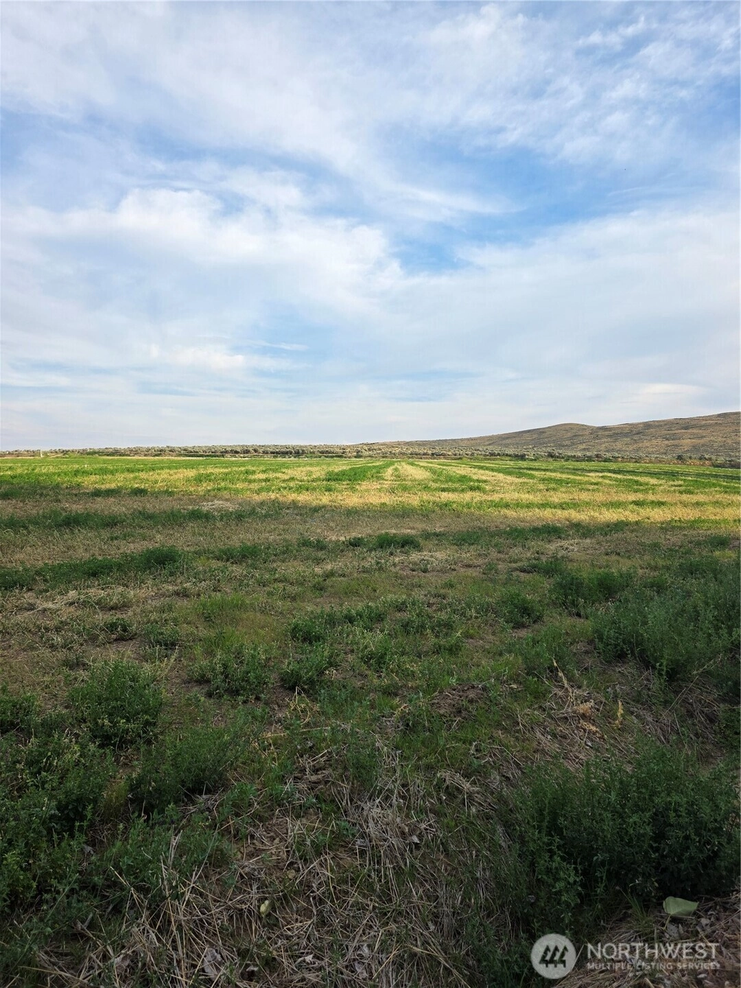 3 Borland Ellensburg WA 98926