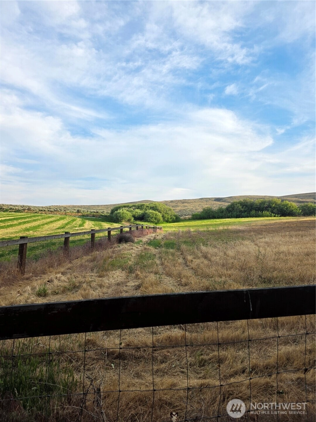 4 Borland Ellensburg WA 98926