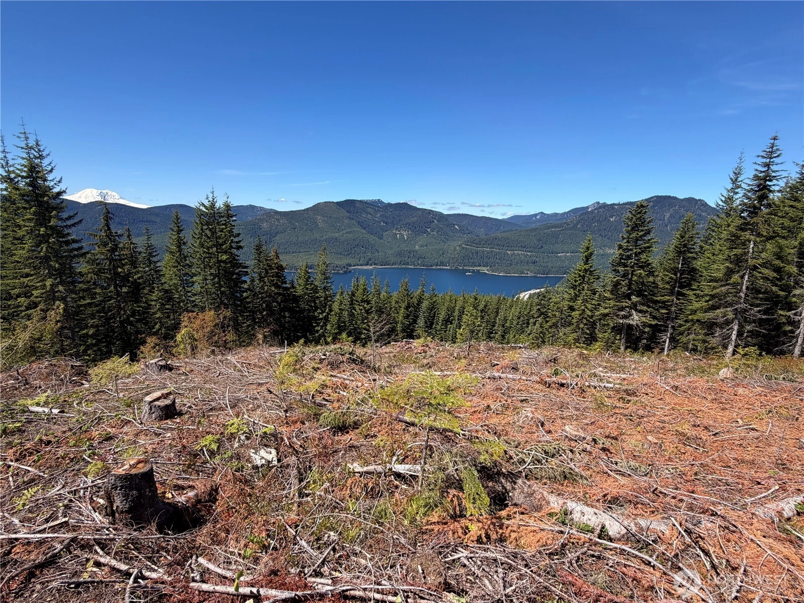 Fs Rd 124 Snoqualmie Pass WA 98068