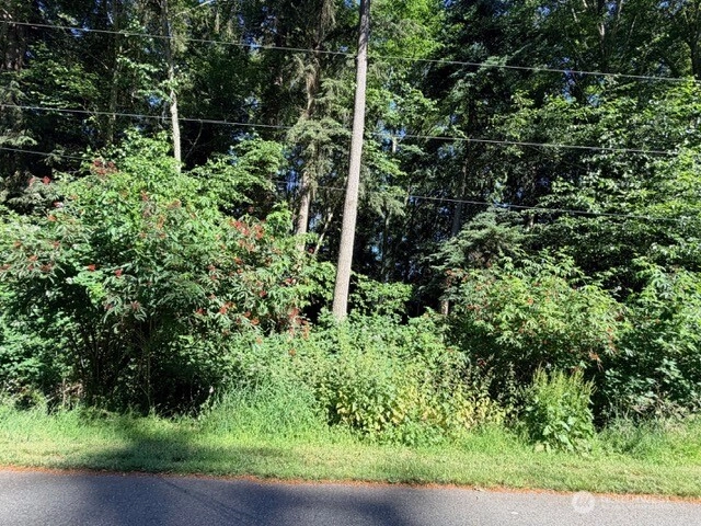 21 Lots Lakeview Terrance Langley WA 98260