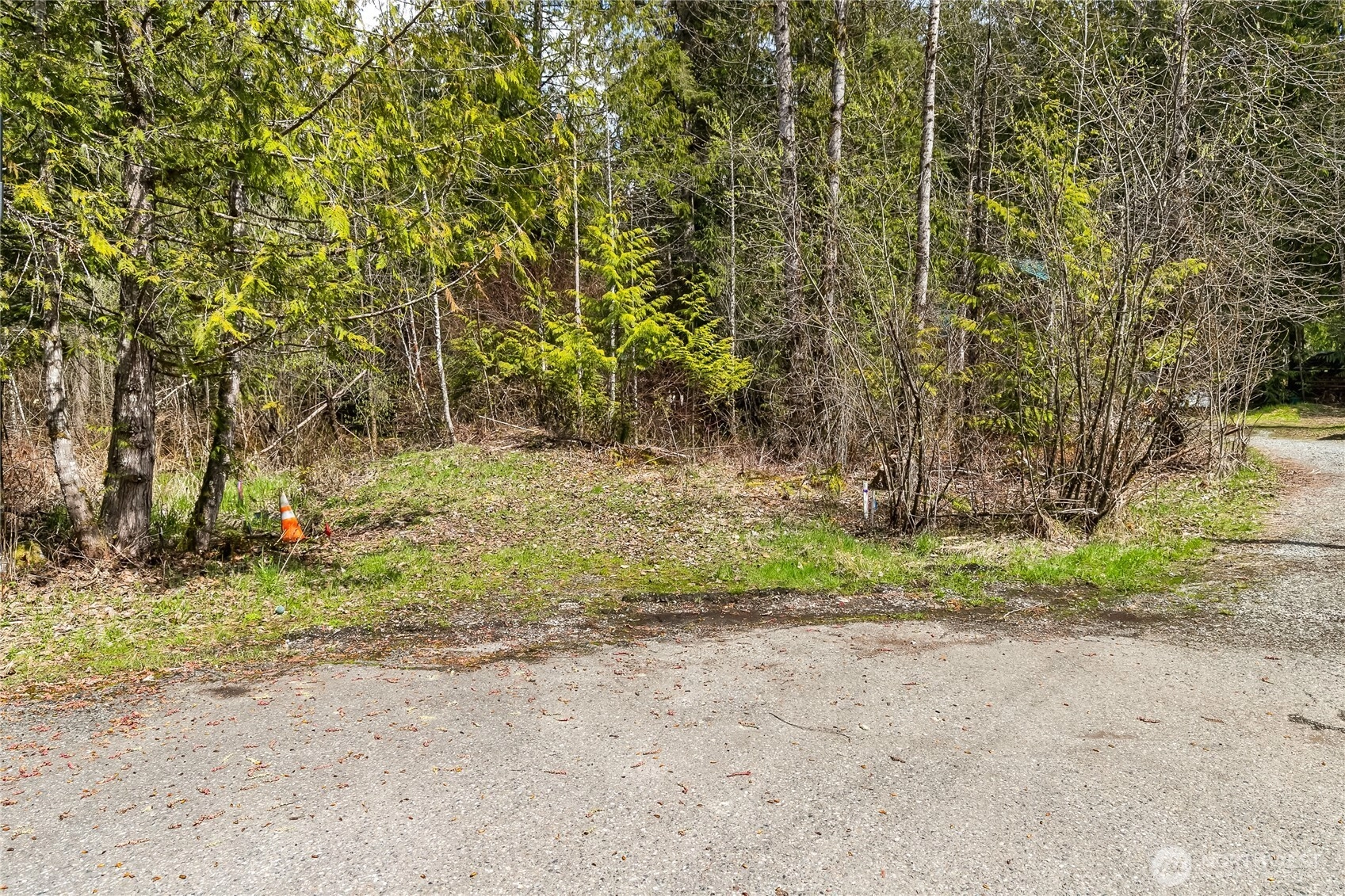 17045 Iceberg Rd Glacier WA 98244