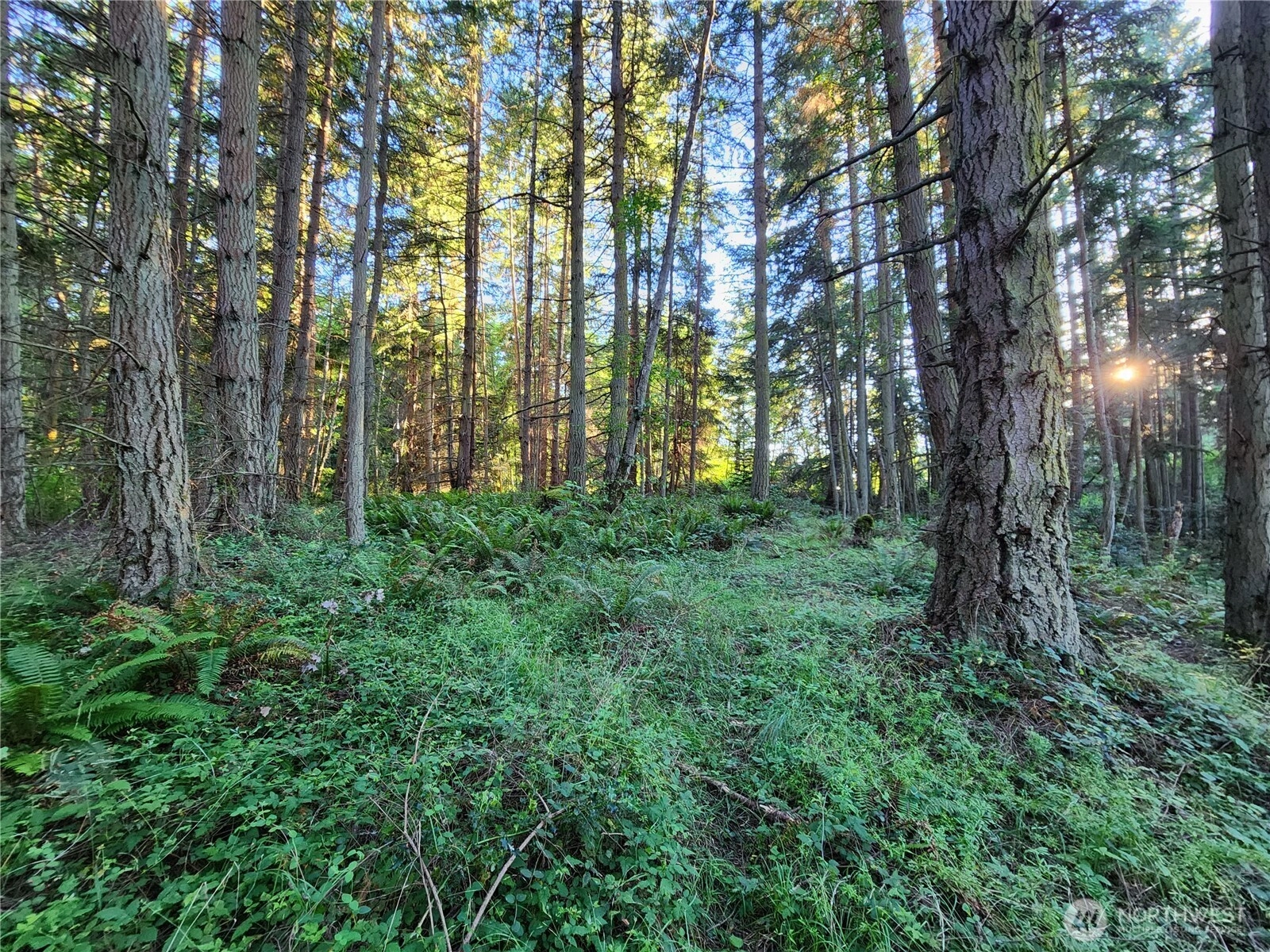 1664 Lancaster Rd Freeland WA 98249