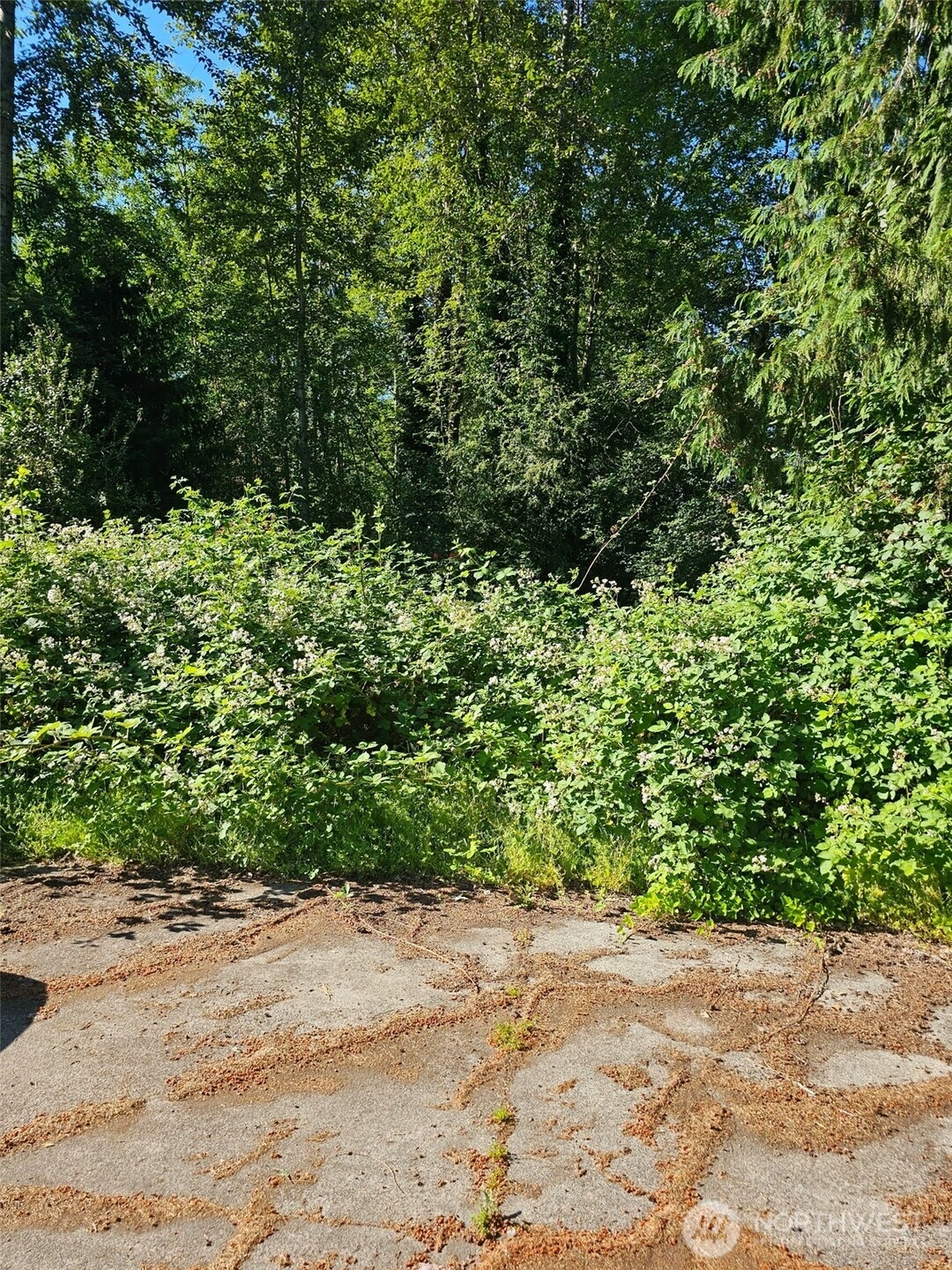 178 54th Pl SW Lynnwood WA 98037