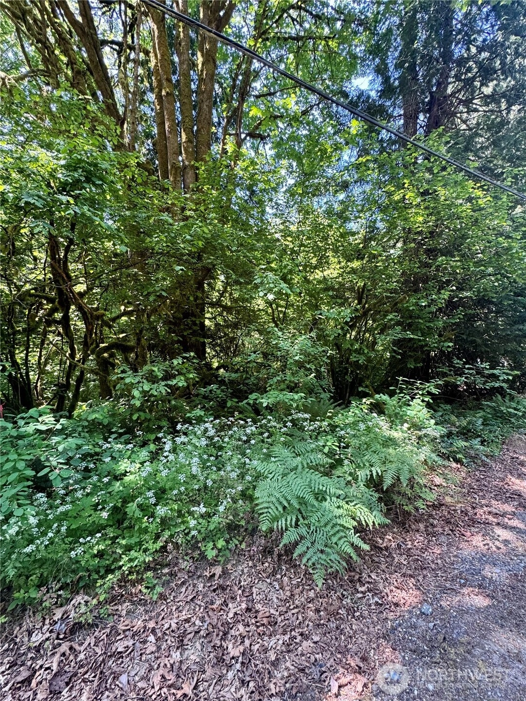 12014 126th Ave NW Gig Harbor WA 98329