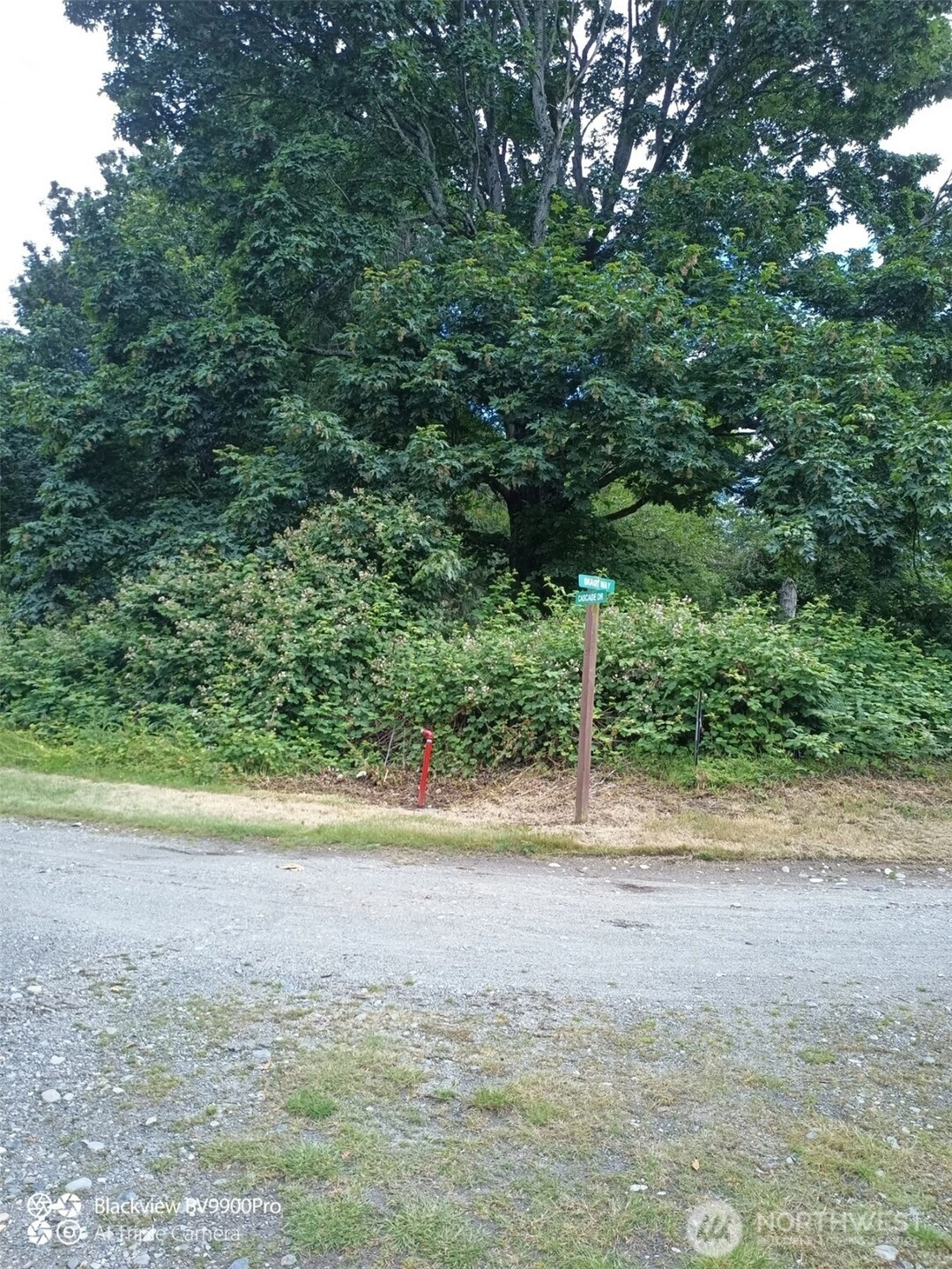 74 M Skagit Way Hat Island WA 98206