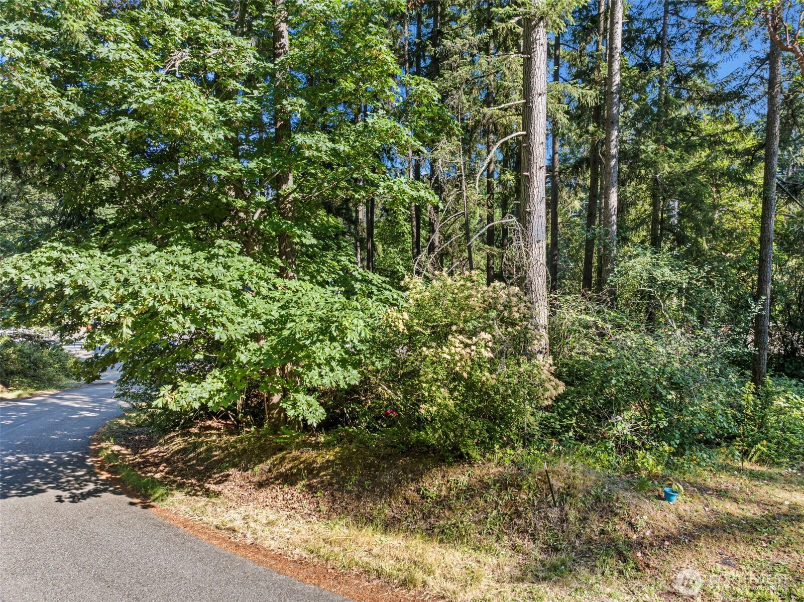 4618 Timber Ln NW Gig Harbor WA 98335